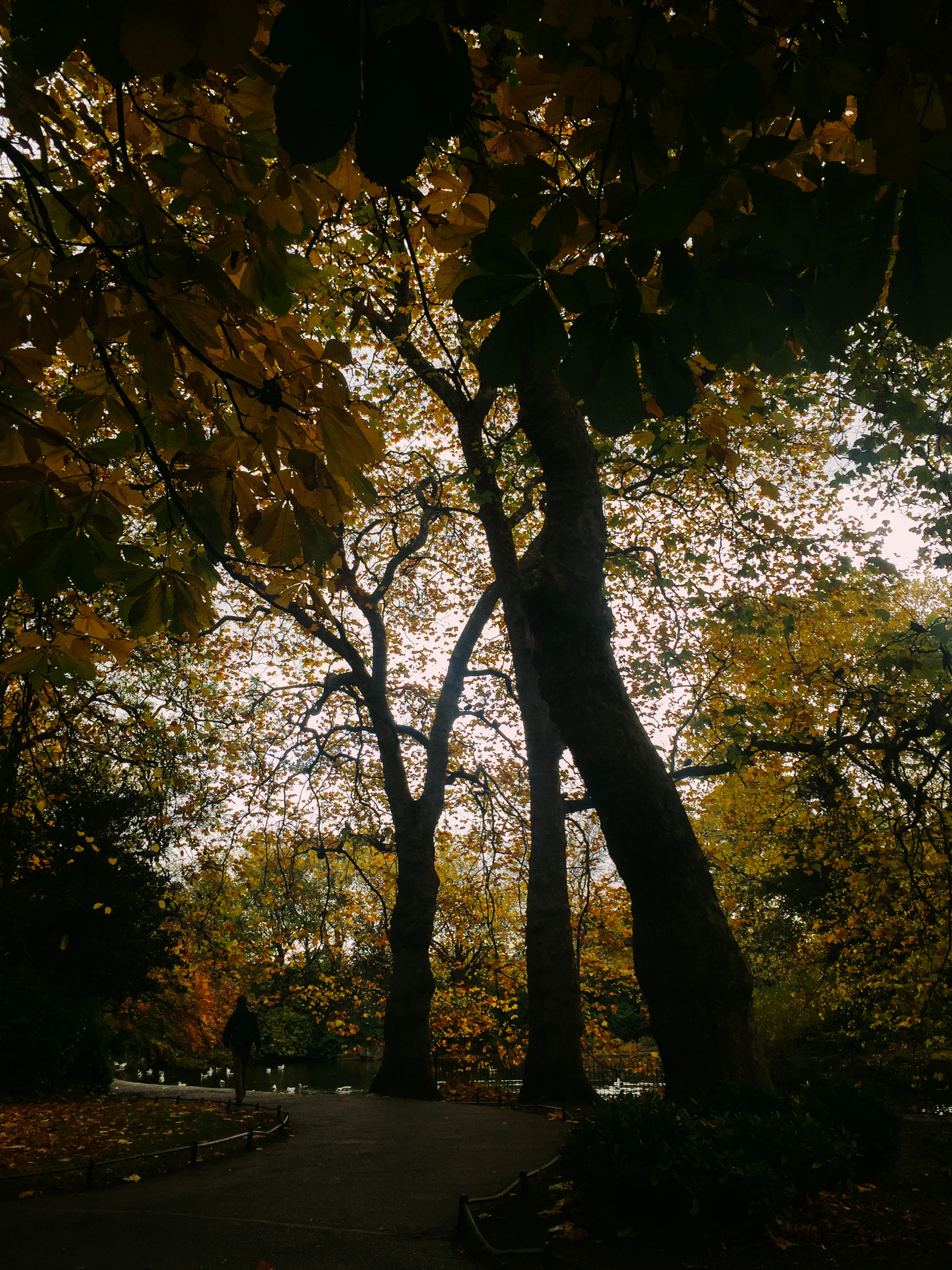 dublin-34.jpg