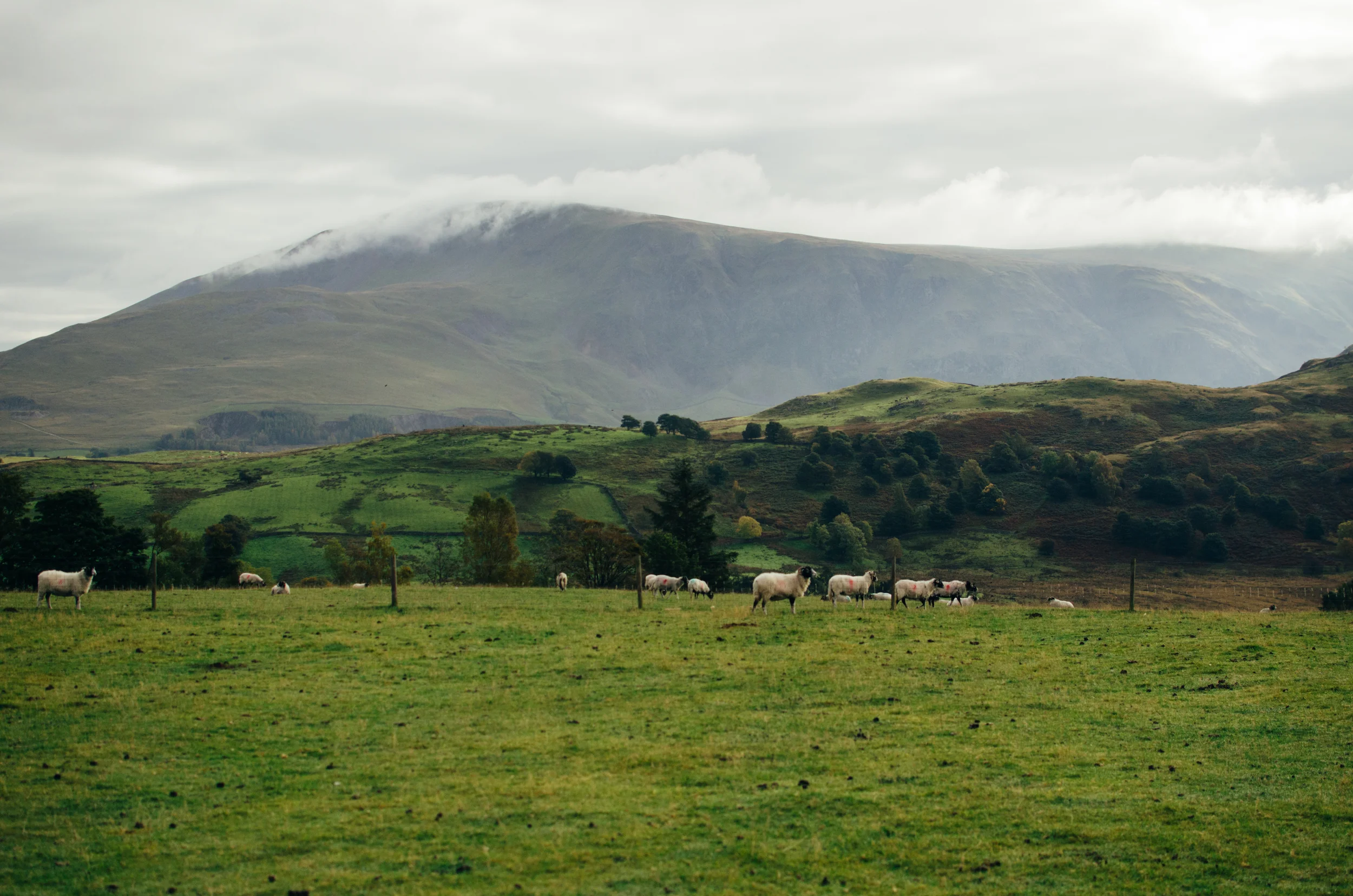keswick-47.jpg