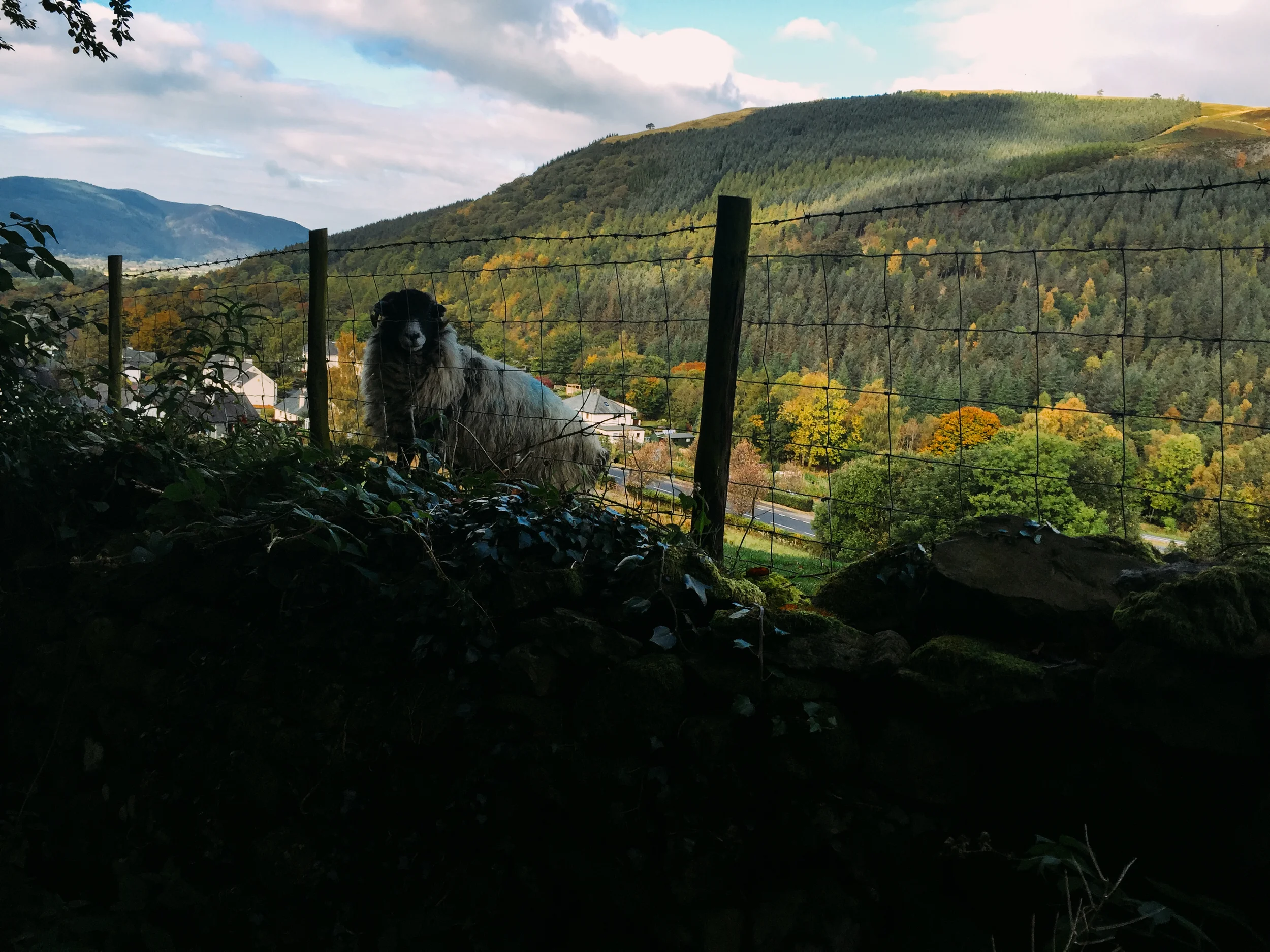 keswick-96.jpg