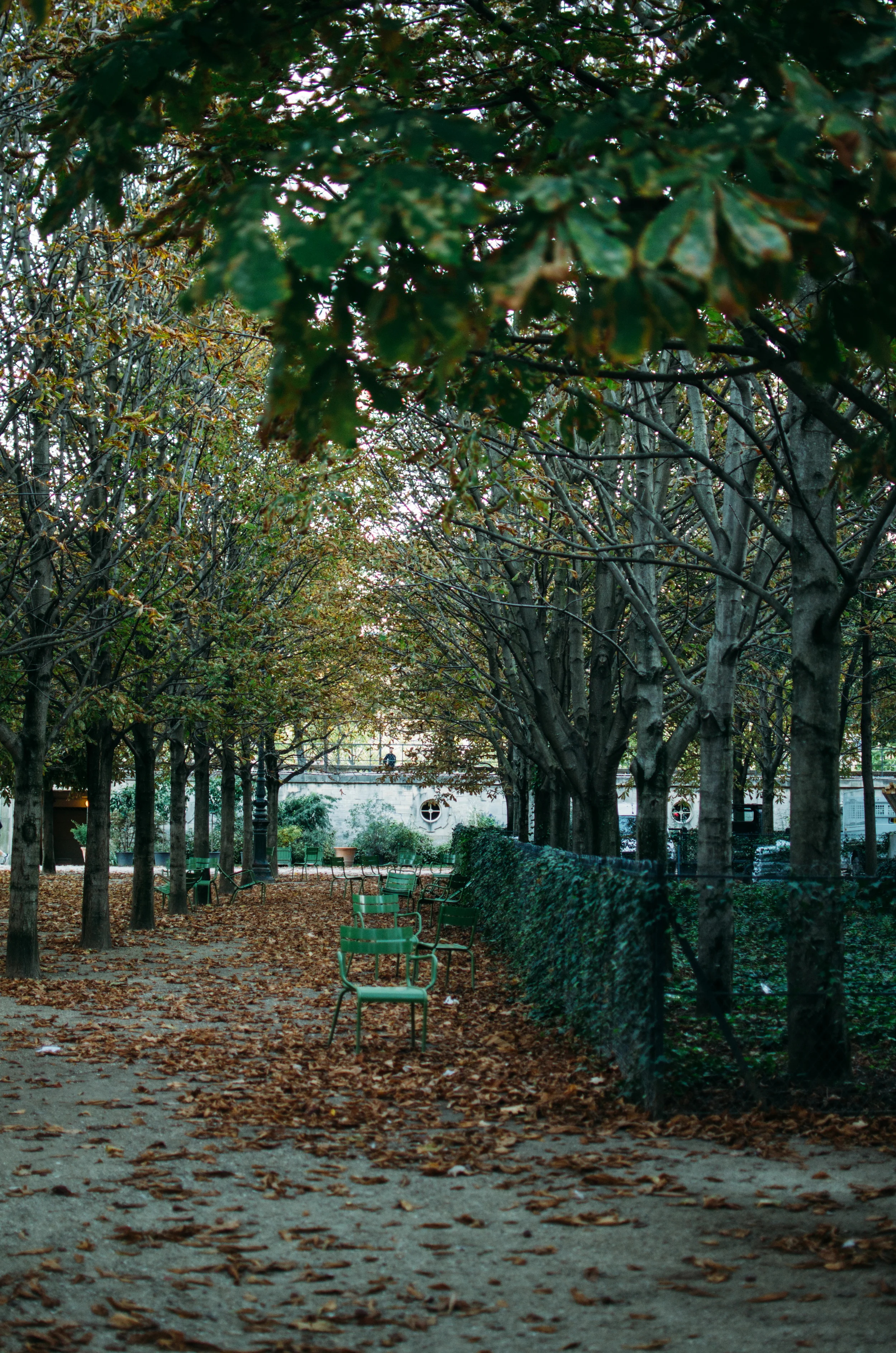 paris-30.jpg