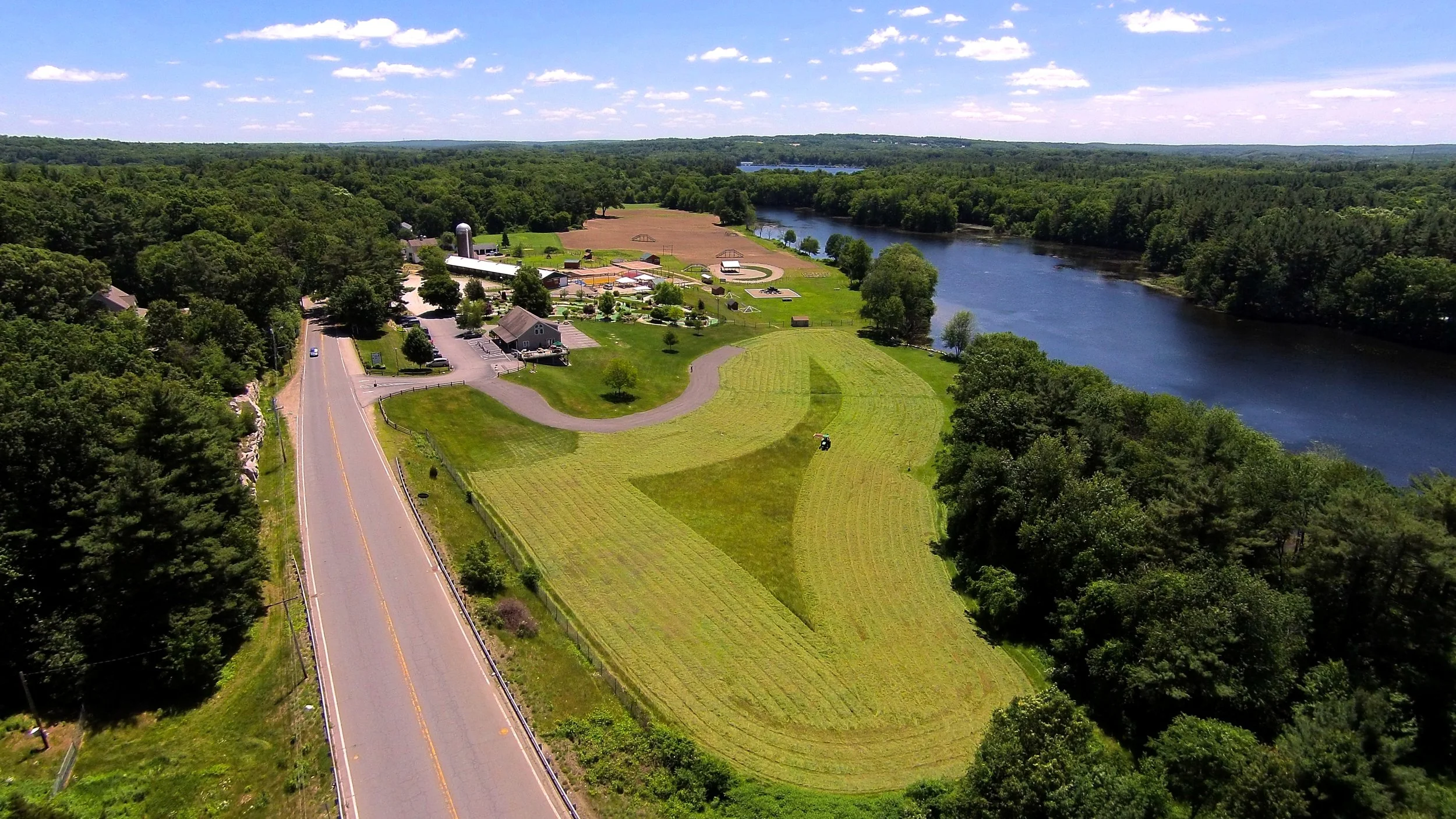 Cutting Lower Field.JPG