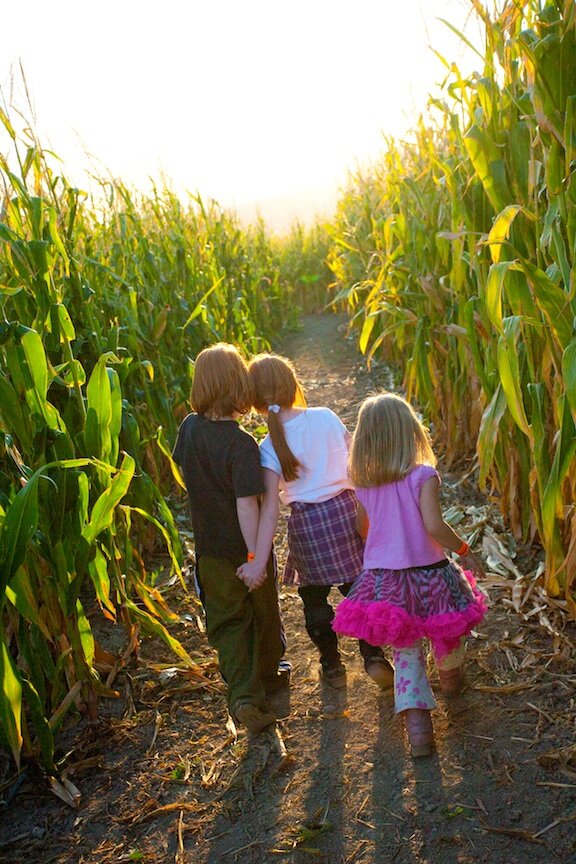 kids in corn maze.jpg