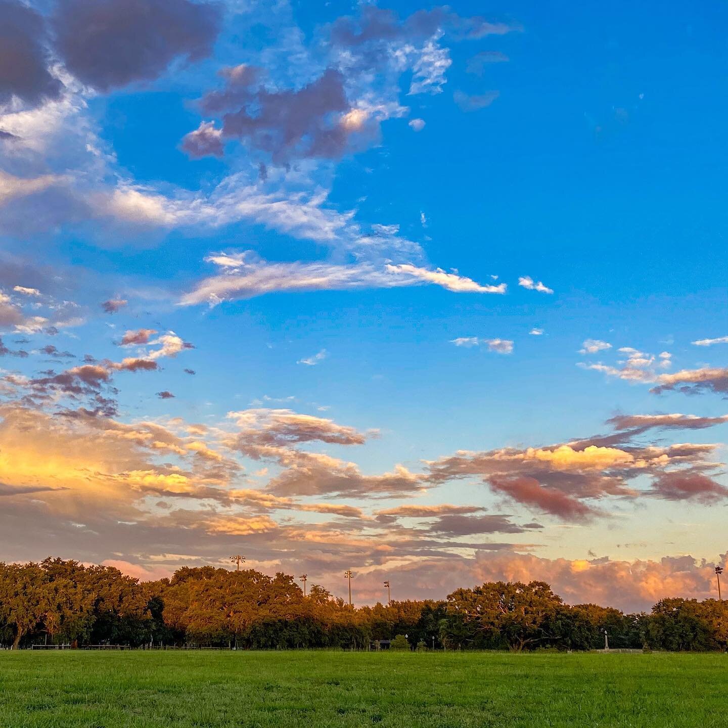 Peaceful Parks #peace .
.
.
.
#sunset #sunsets #sky #clouds #light #lifestyle #healthyliving #summertime #beautiful #adventure #naturephotography #park #travel #wanderer #fitnessmotivation #vacation #weekend #livethelittlethings #saturday #fl #florid