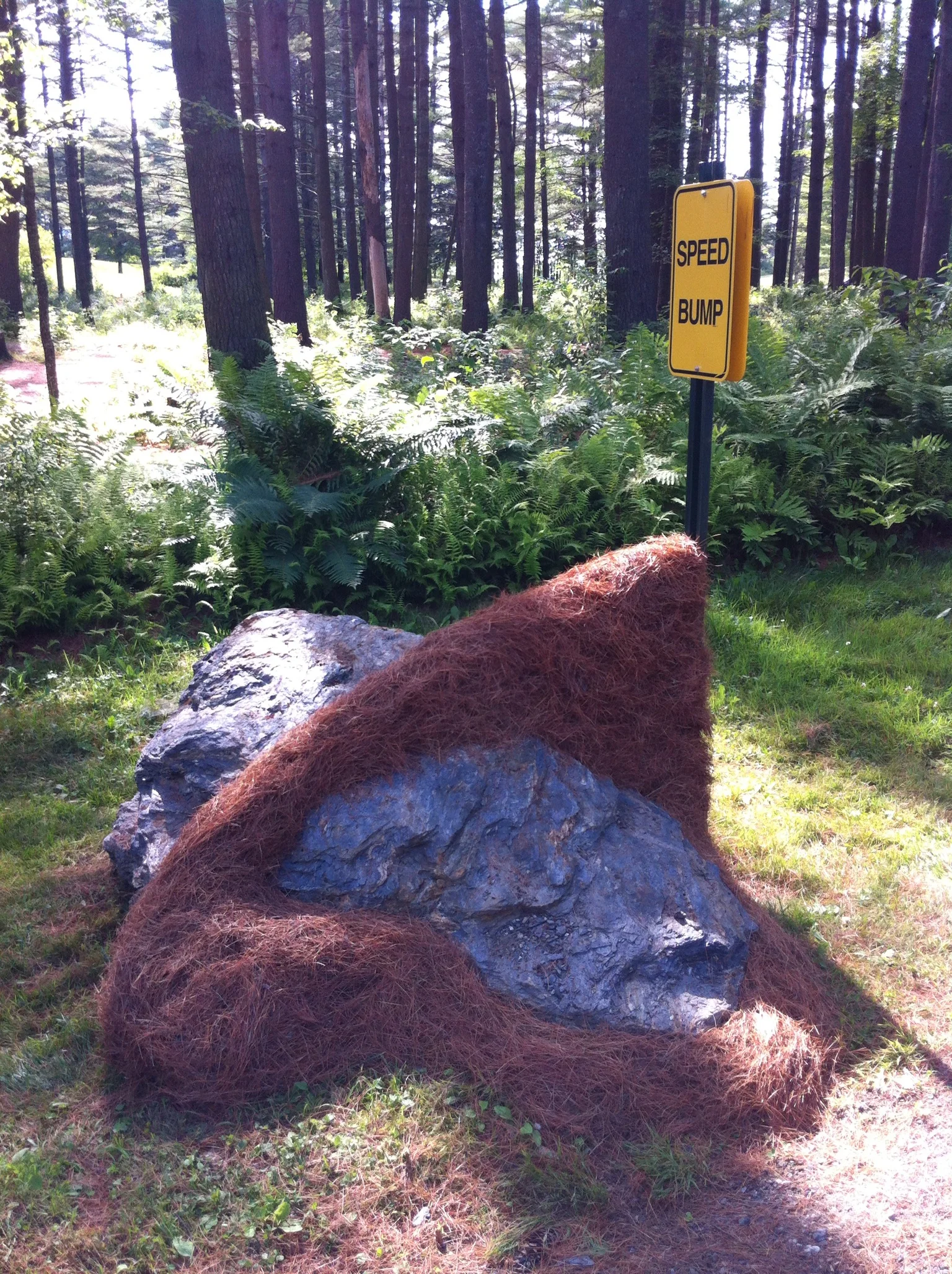 speed bump 4.JPG