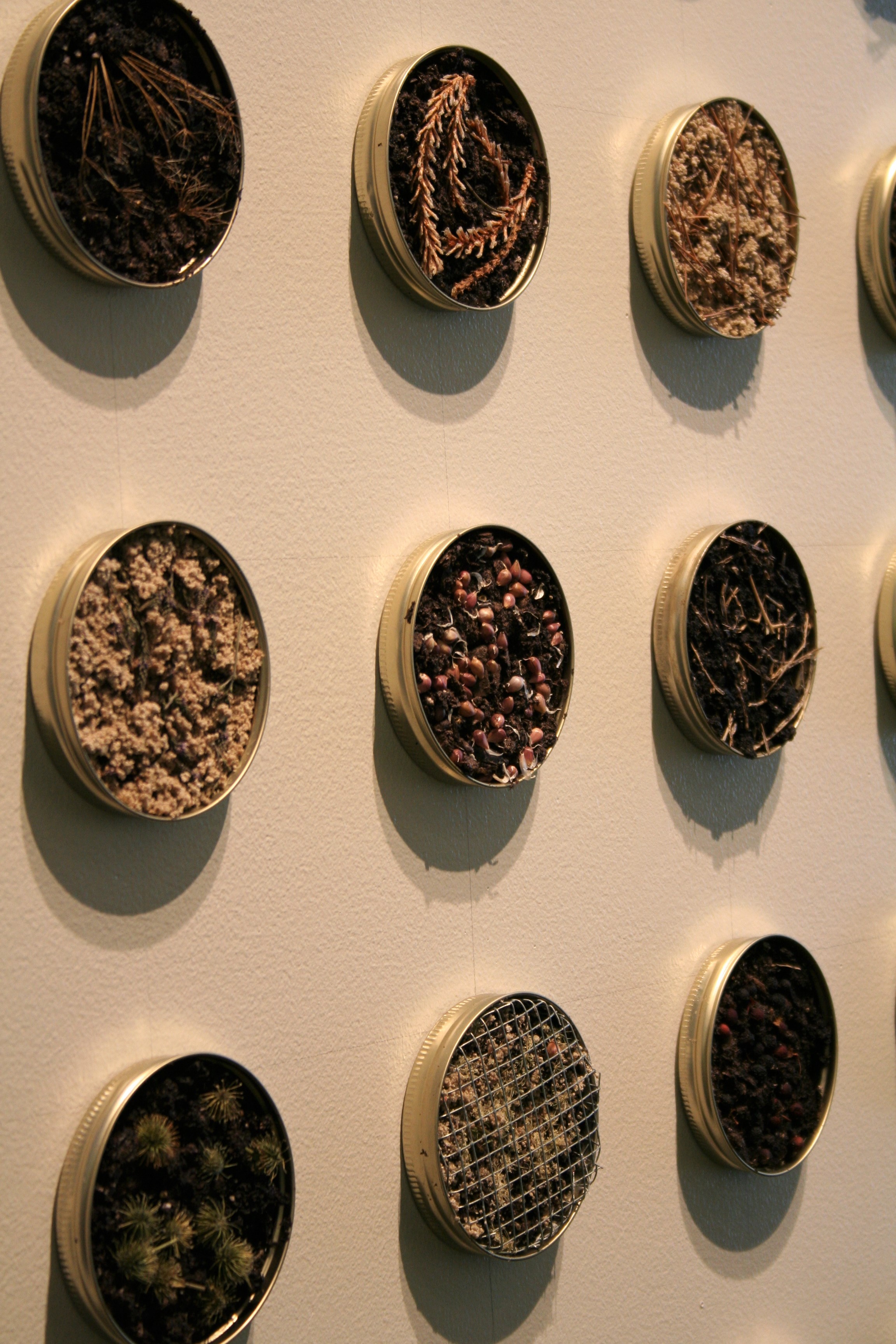 landscapes show rebel 2006 024.jpg
