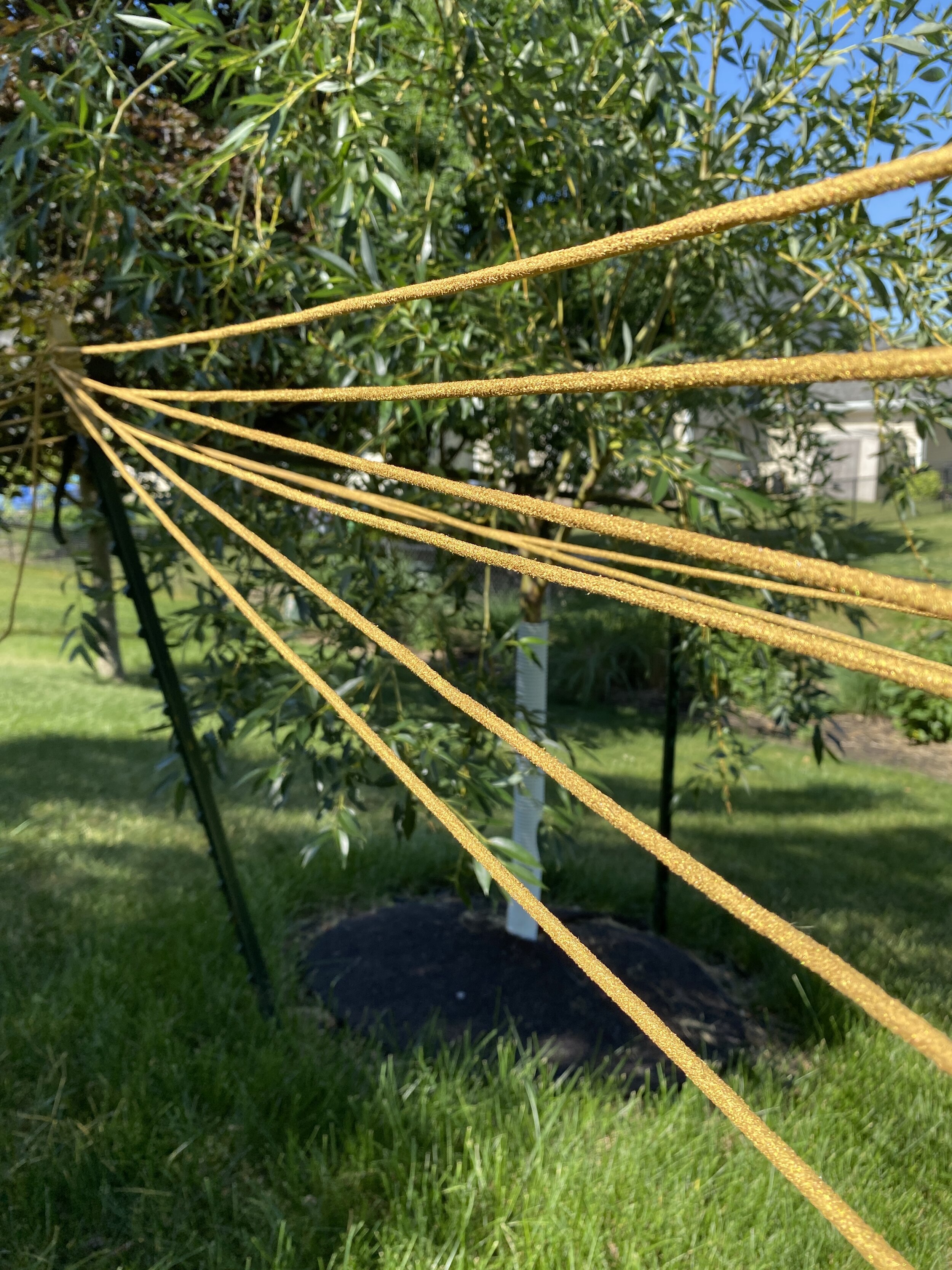 Drying Dyed Gold Clothesline.JPG