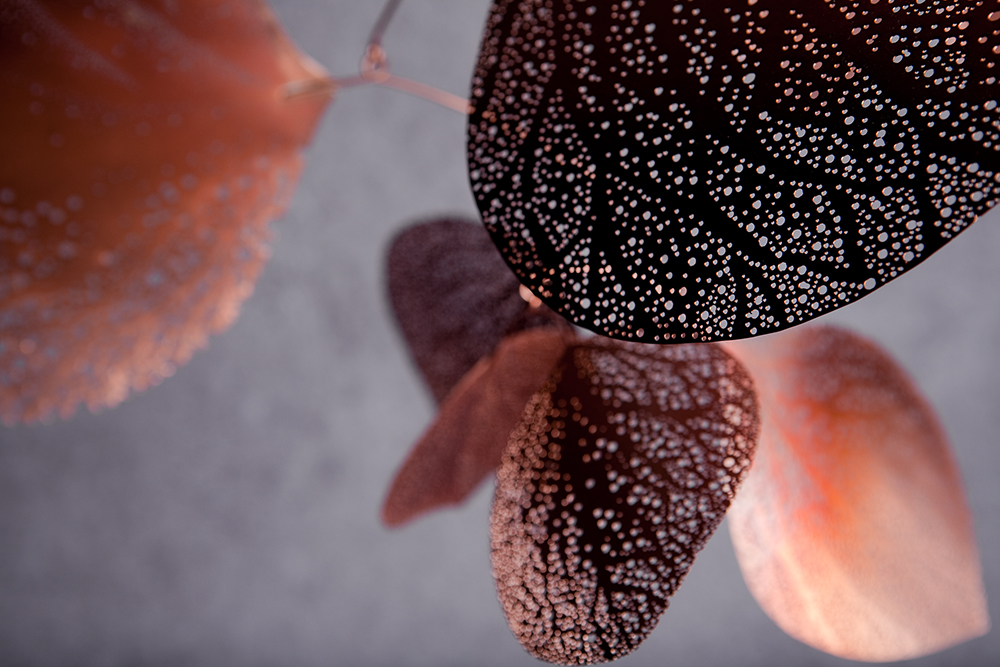Photography by @carolynpricephotography