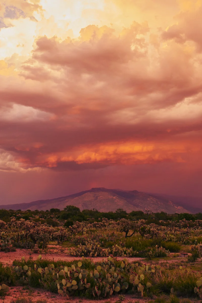 Monsoon