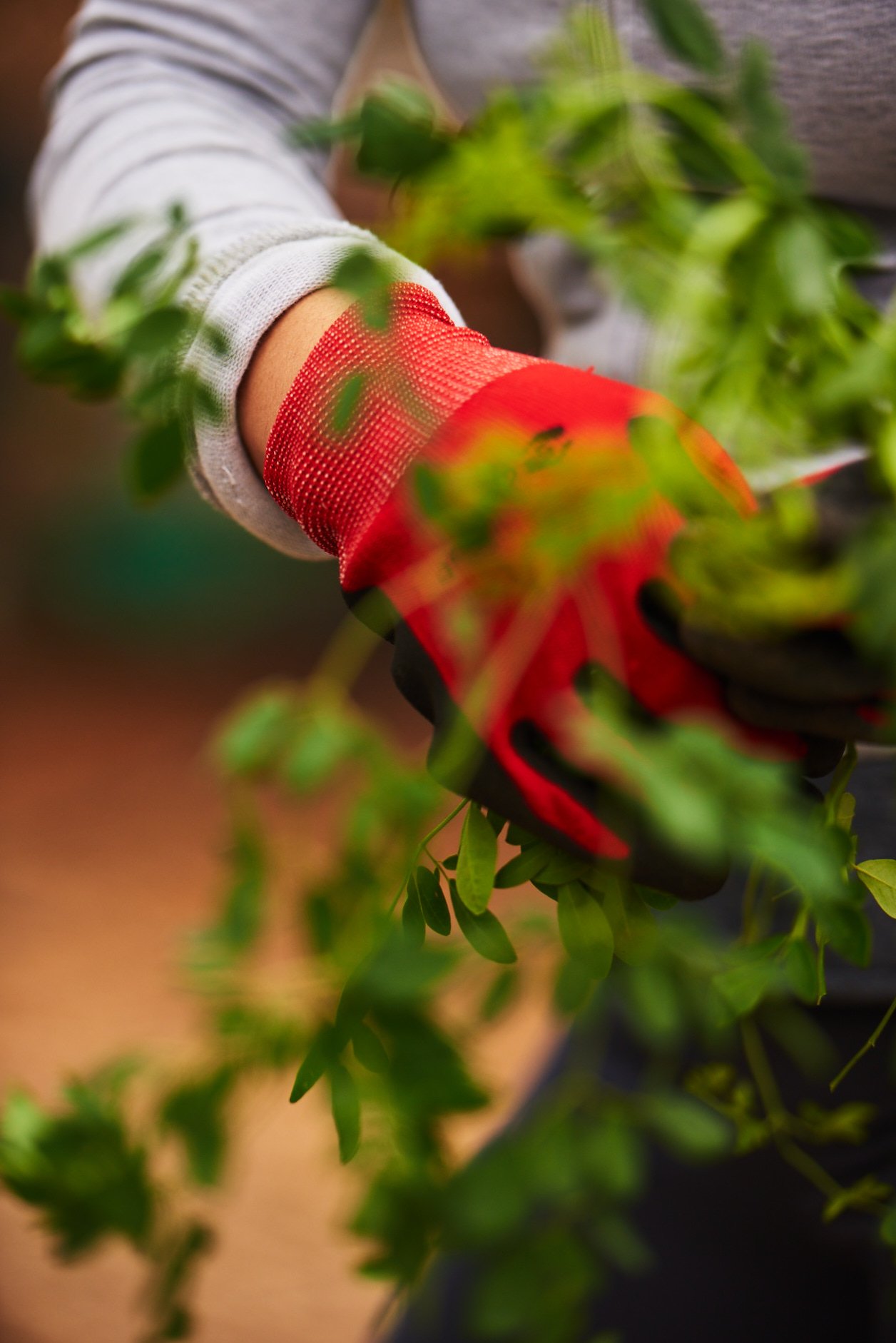 211120_ABartlett_GrowGood_0181.jpg