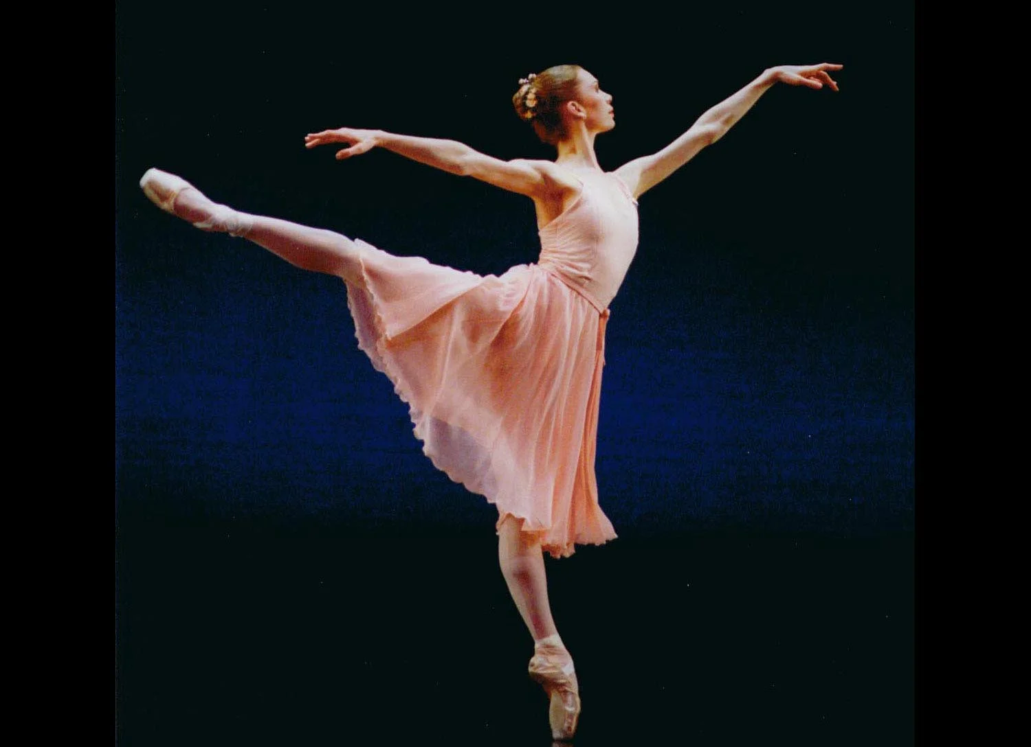 Graceful.jpg