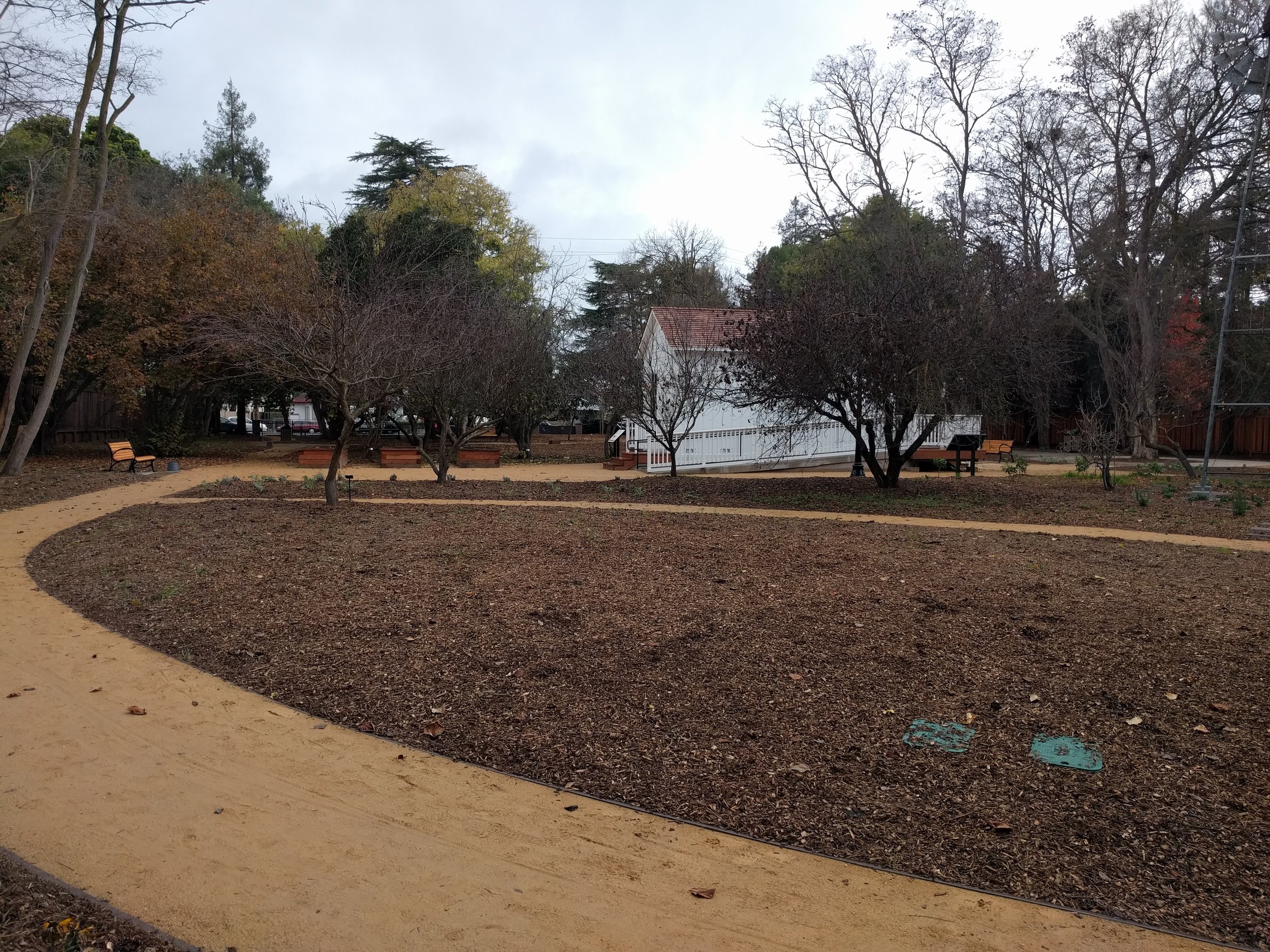 Garden space - overall view