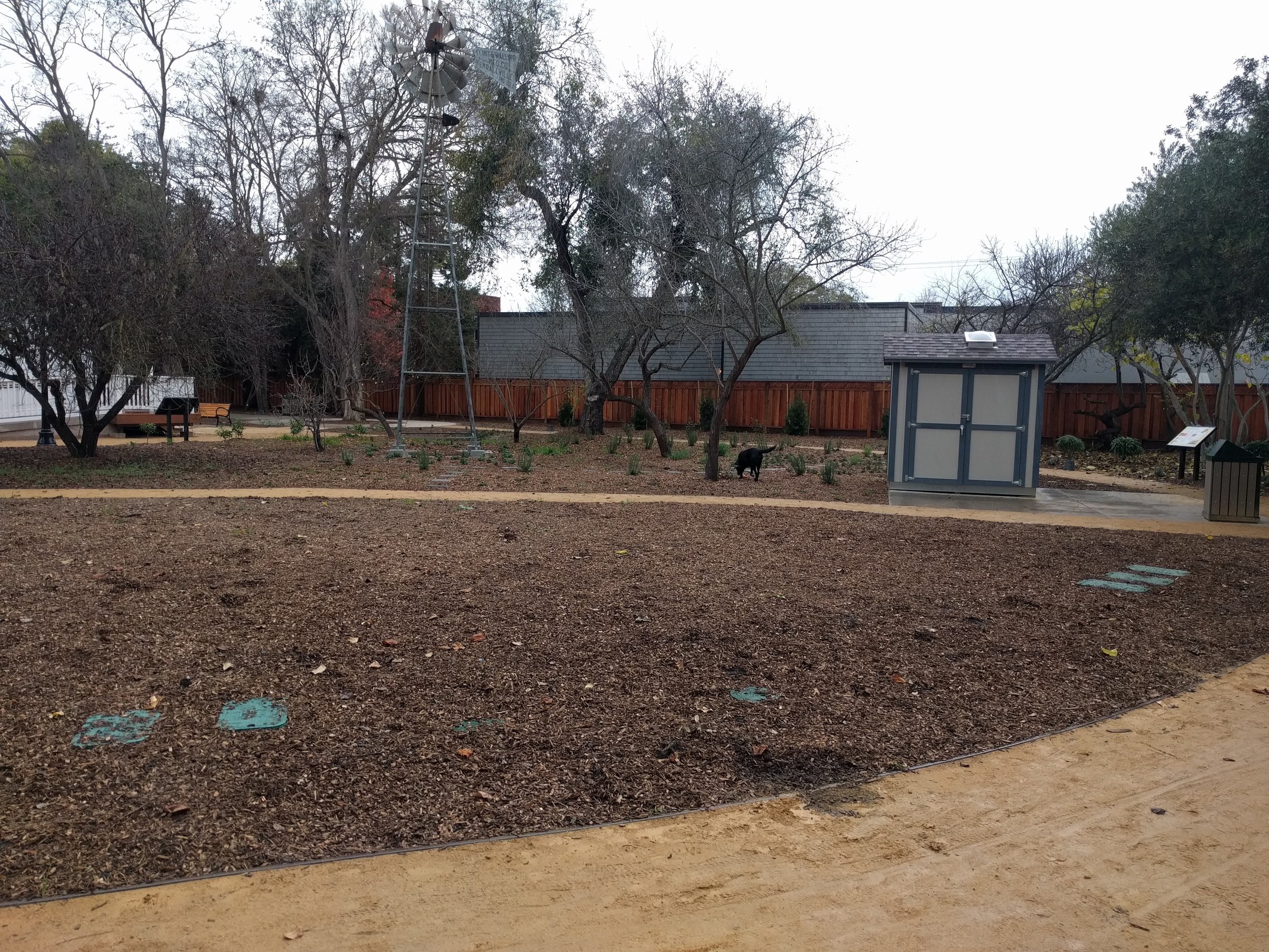 Garden space - middle
