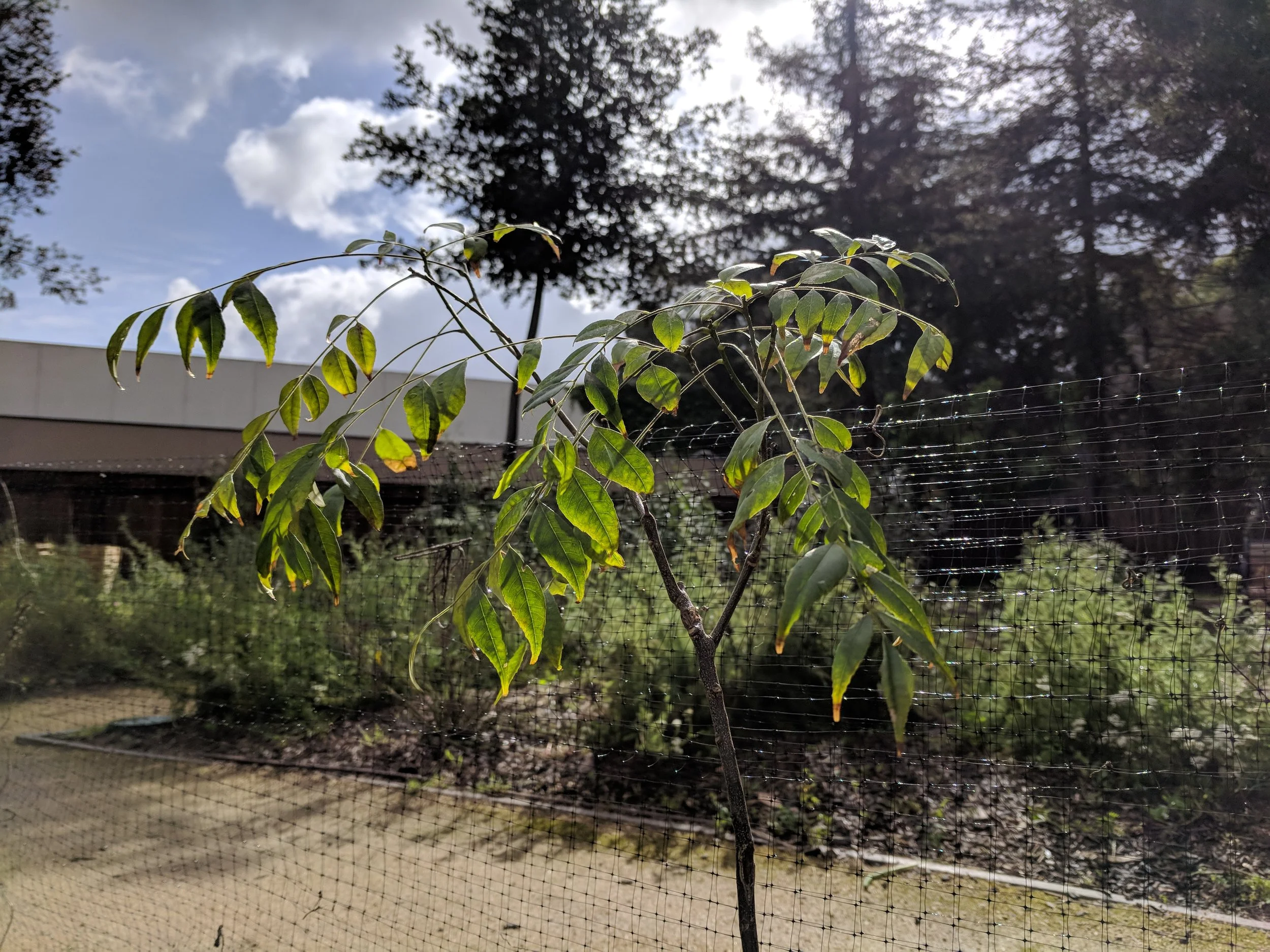 IMG_20180407_101238.jpg