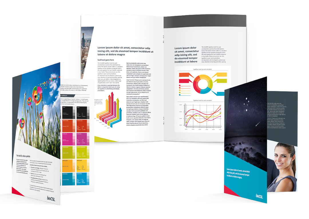 INAU Folio BioCSL Comb pieces.png