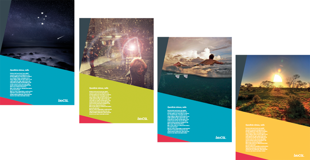 INAU Folio BioCSL Comb pieces-2.png