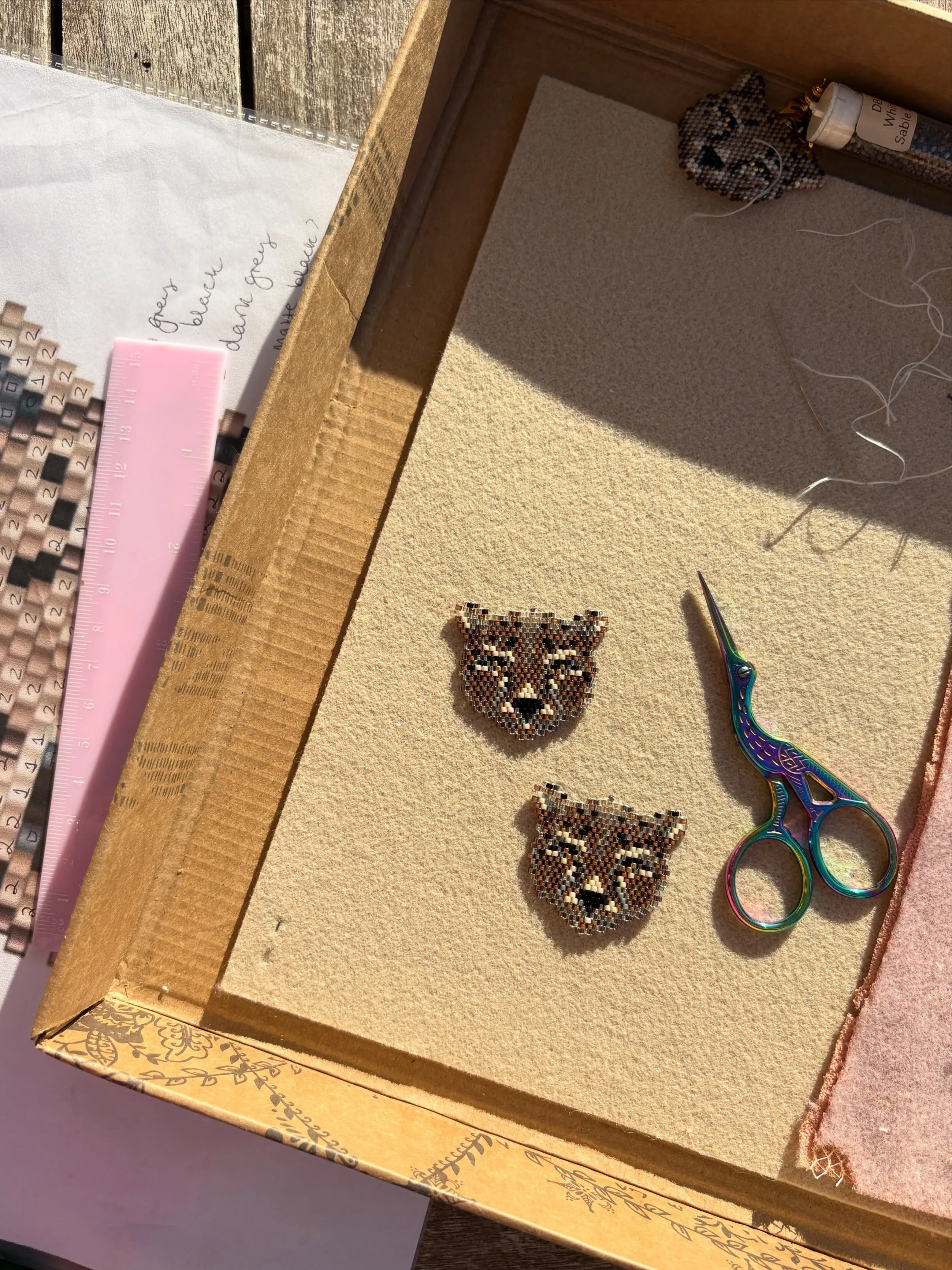Cheetahs basking in the heatwave before they went to their happy new home ☀️🐆