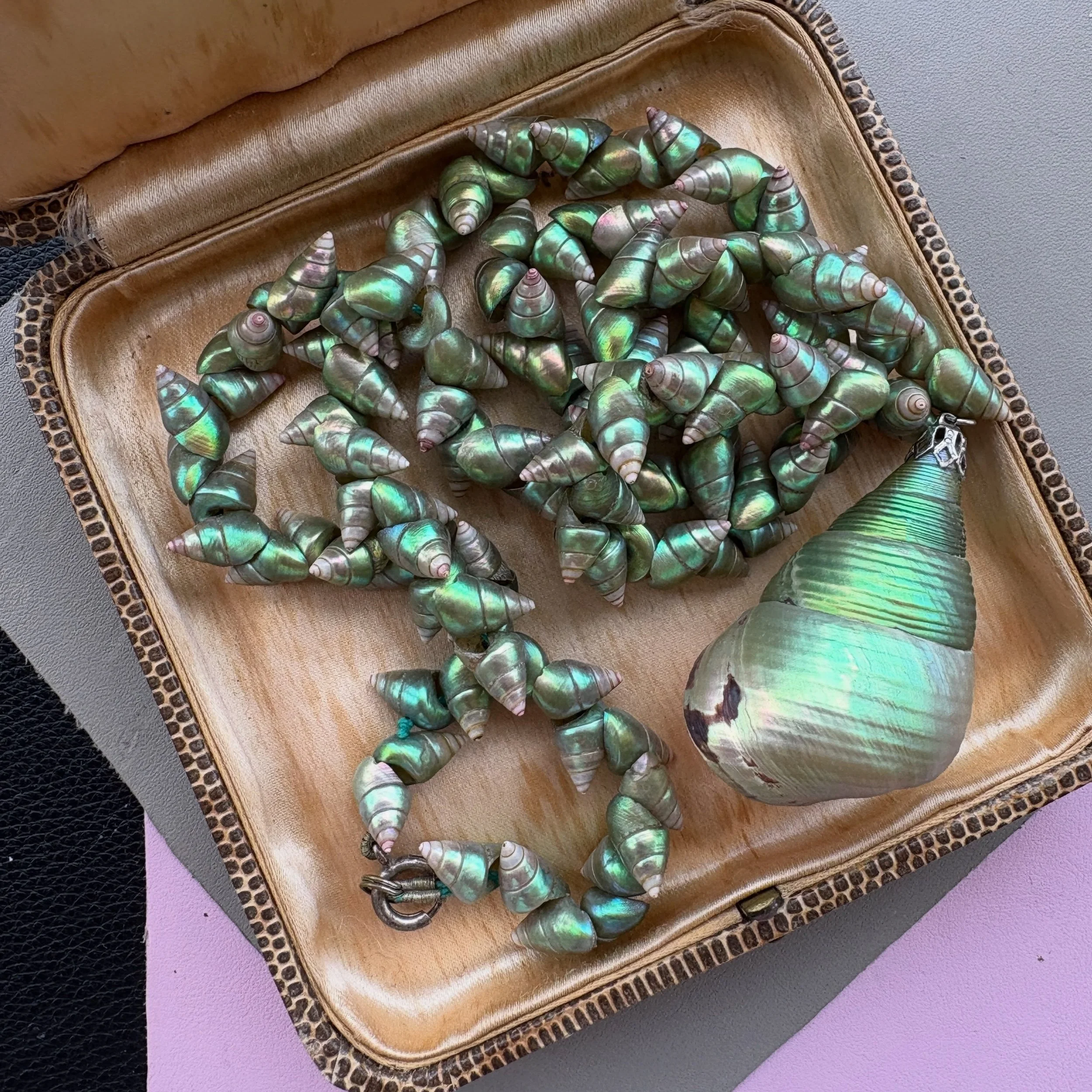 Shimmering shells 🤩 This antique Maireener shell necklace is a super special collector&rsquo;s piece and ready to bask in the compliments you&rsquo;ll receive every time you wear it 😍🥰🐚😄Available on Etsy now 🙏🏽

#maireenershellnecklace #mairee