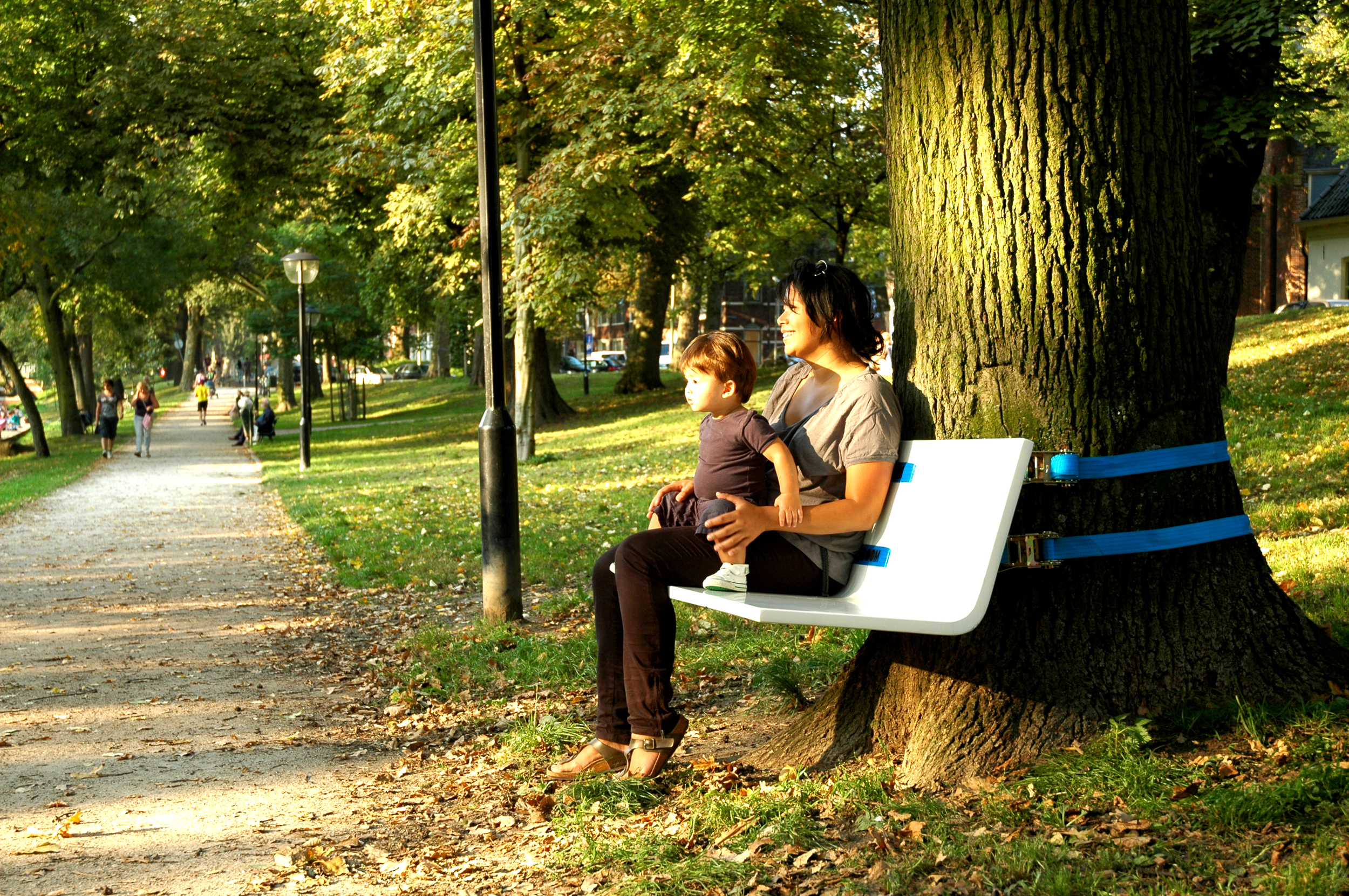 treebench 3.jpg
