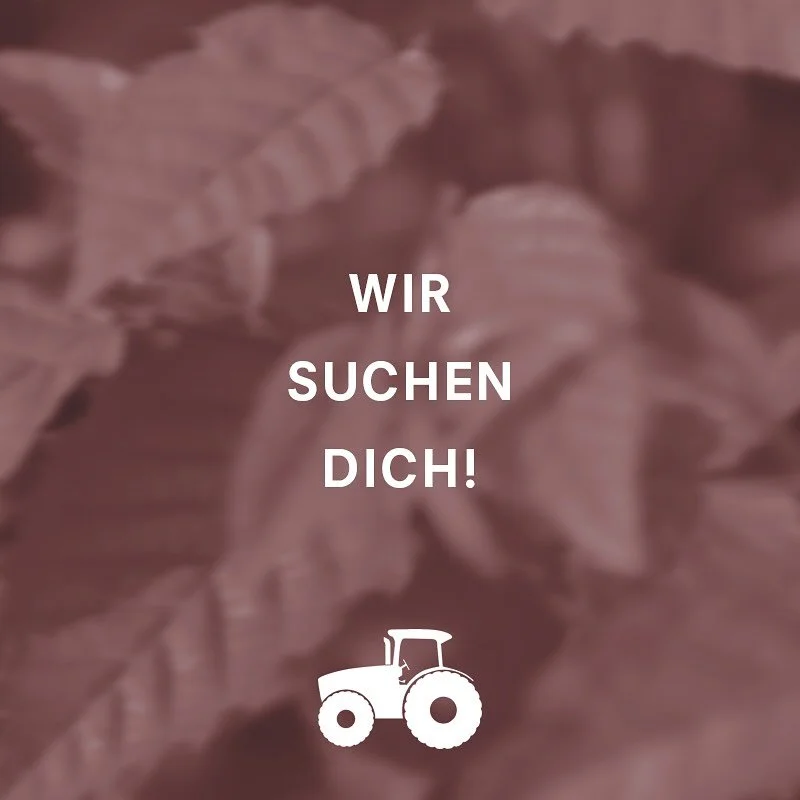 MASCHINIST/IN
LAND- UND BAUMASCHINEN

Zu Ihren Hauptaufgaben geh&ouml;ren:
&bull; Bodenbearbeitung, Pflanzenschutz und D&uuml;ngung
&bull; Pflegearbeiten der Freilandkulturen
&bull; Bedienen von Baumaschinen
&bull; Ausserhalb der Saison: Mithilfe im 