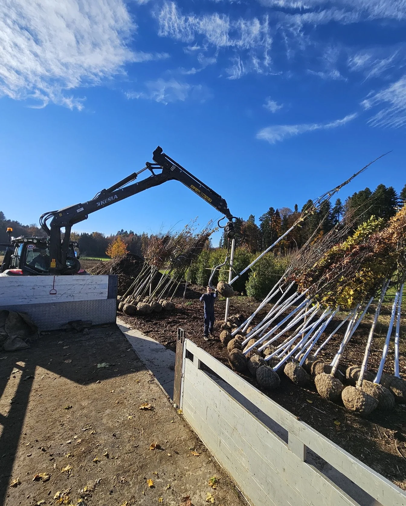 Wir erweitern unseren Maschinenpark.

Mit unserem neuen Forstkran wird die Bewirtschaftung unserer Alleeb&auml;ume einfacher und effizienter.

Und apropos:
Bist Du Maschinist/in Land- und Baumaschinen? Dann bewirb Dich jetzt bei uns. Infos findest Du