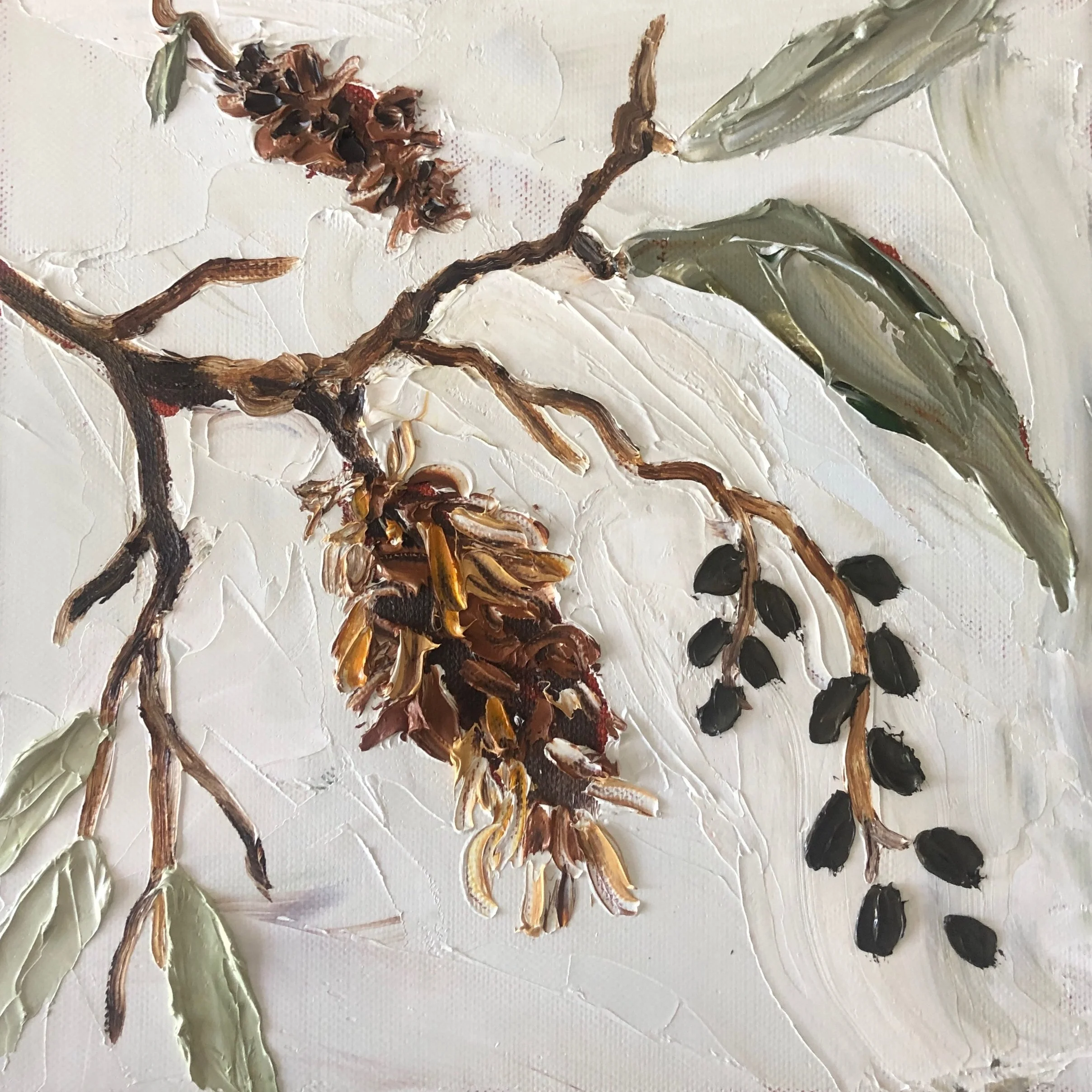 Banksia #8 | 300 x 300 | SOLD