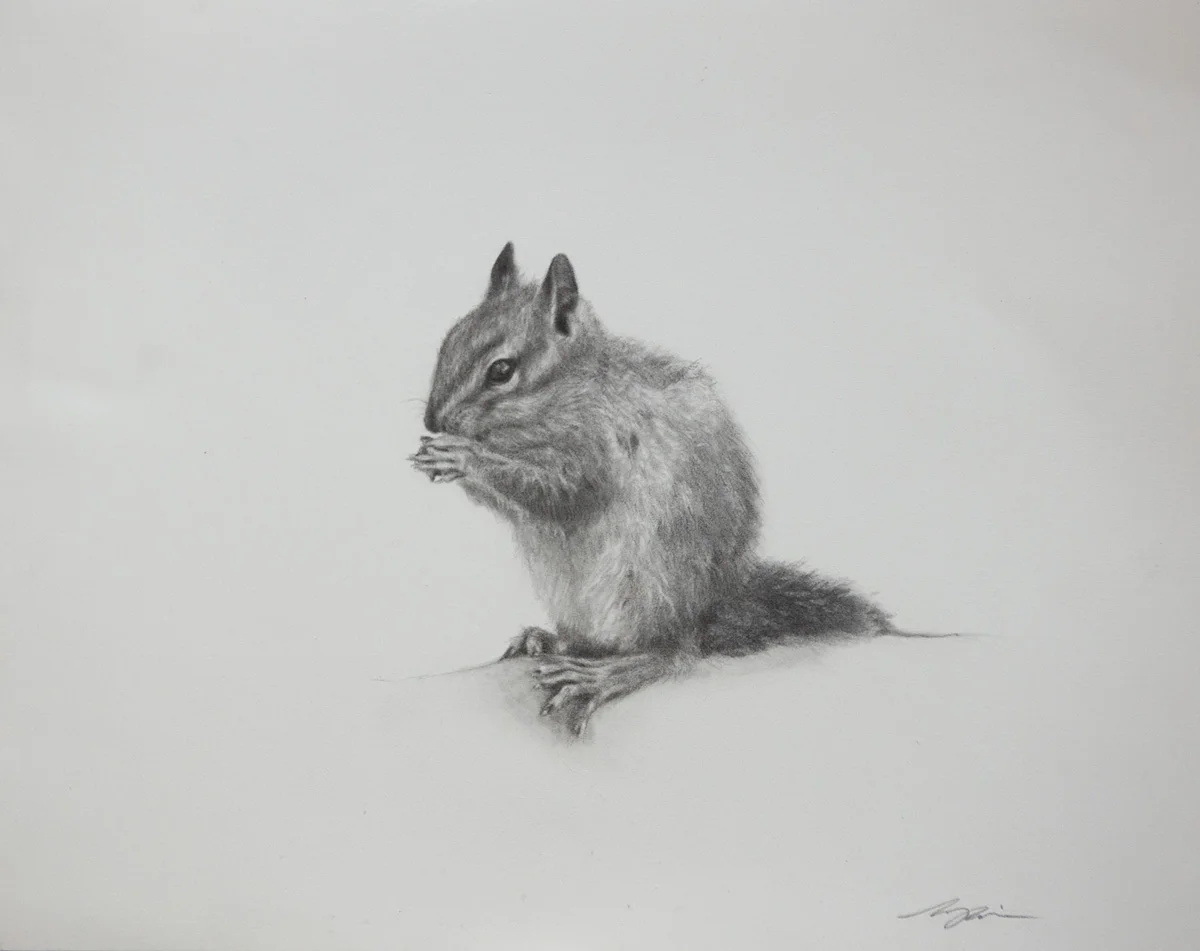 “The Lodgepole Chipmunk”
