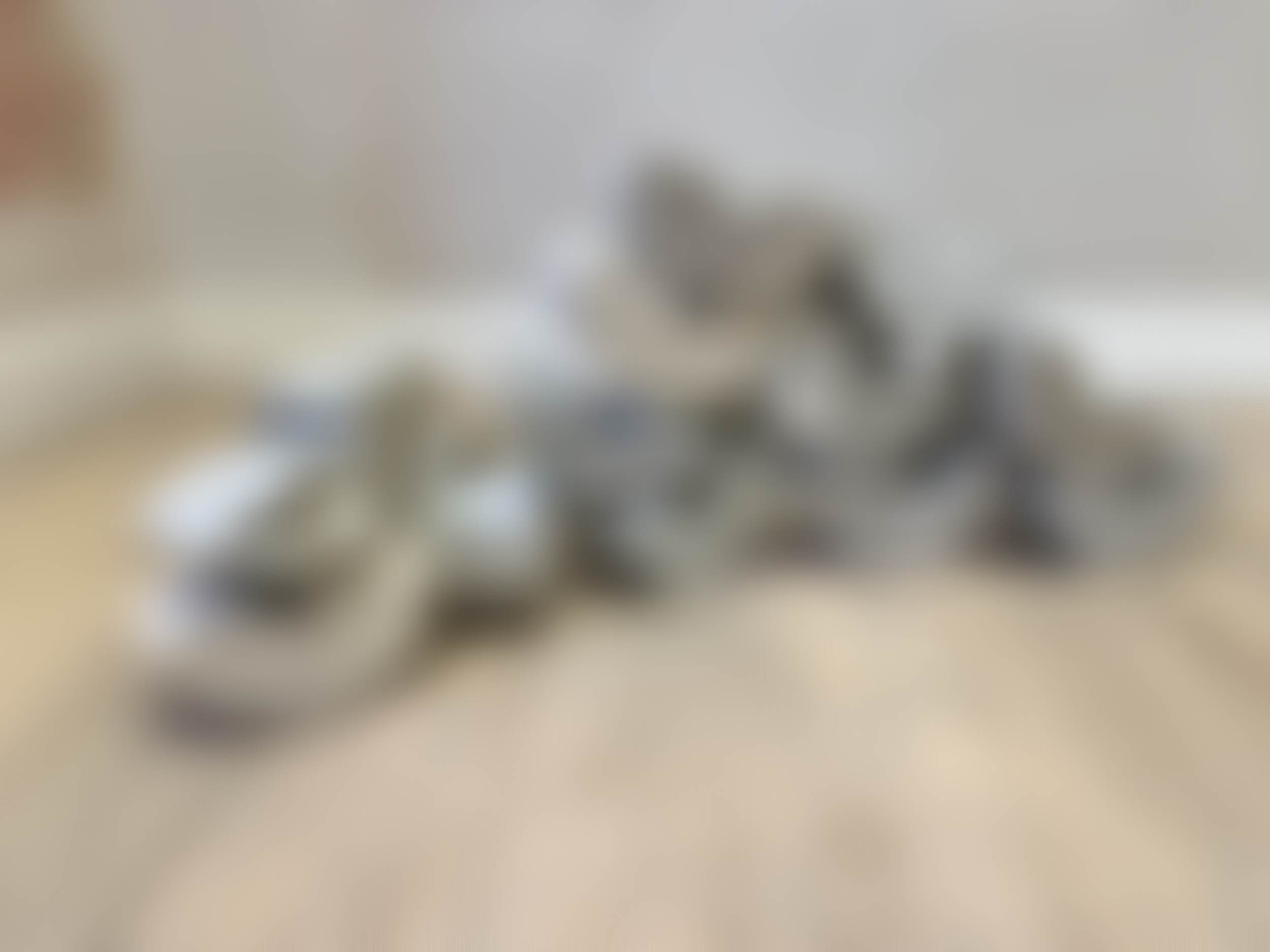 IMG_6621.png