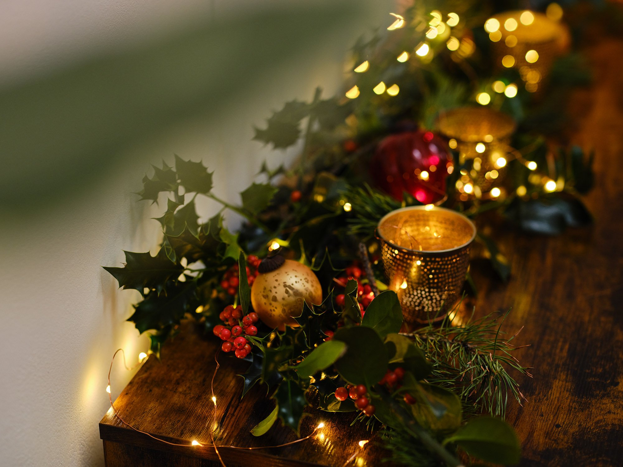 Paypal Credit case history - Bibi Lynch who loves giving thought