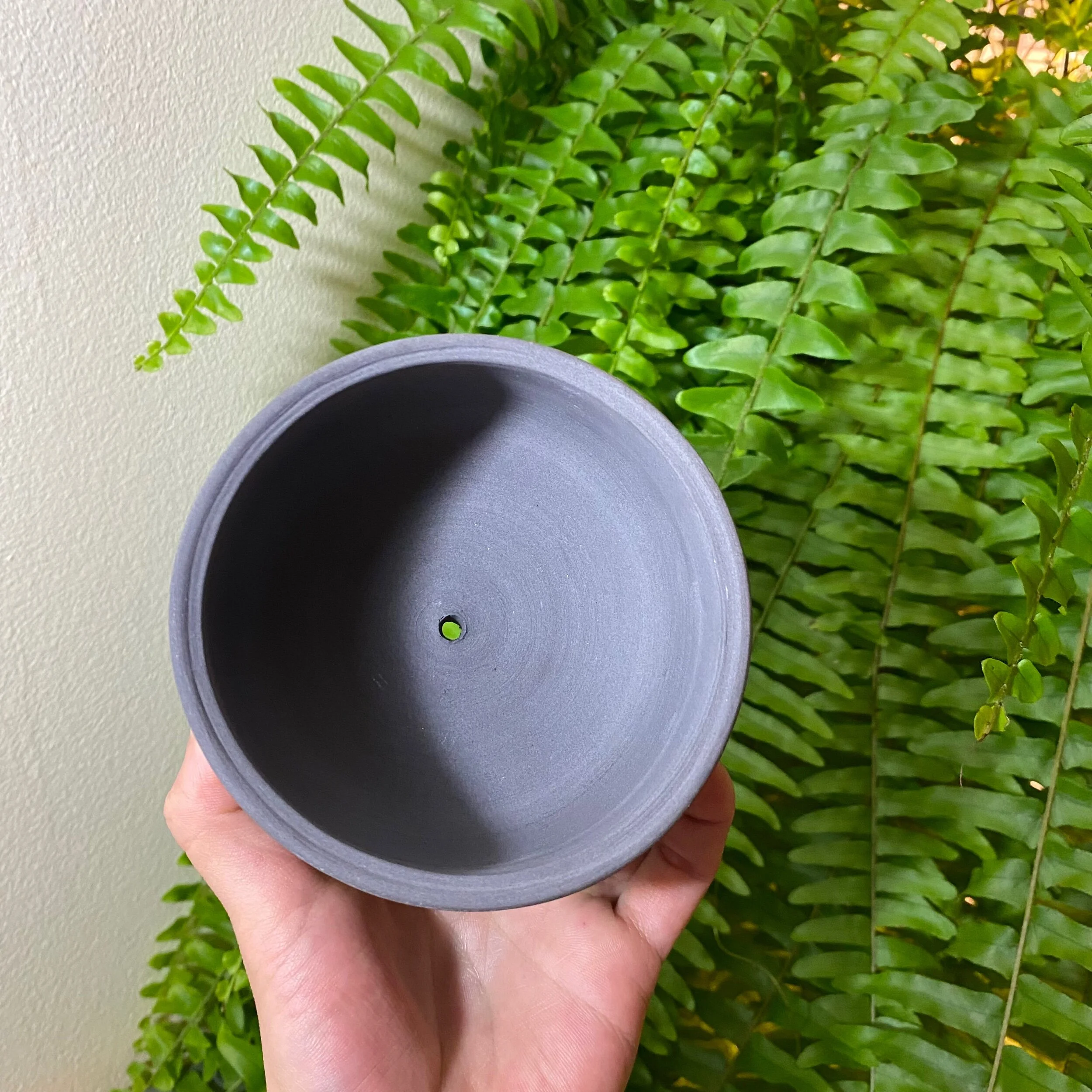 8062BFD0-CFEE-4EEA-963D-0489E0C7FFE7