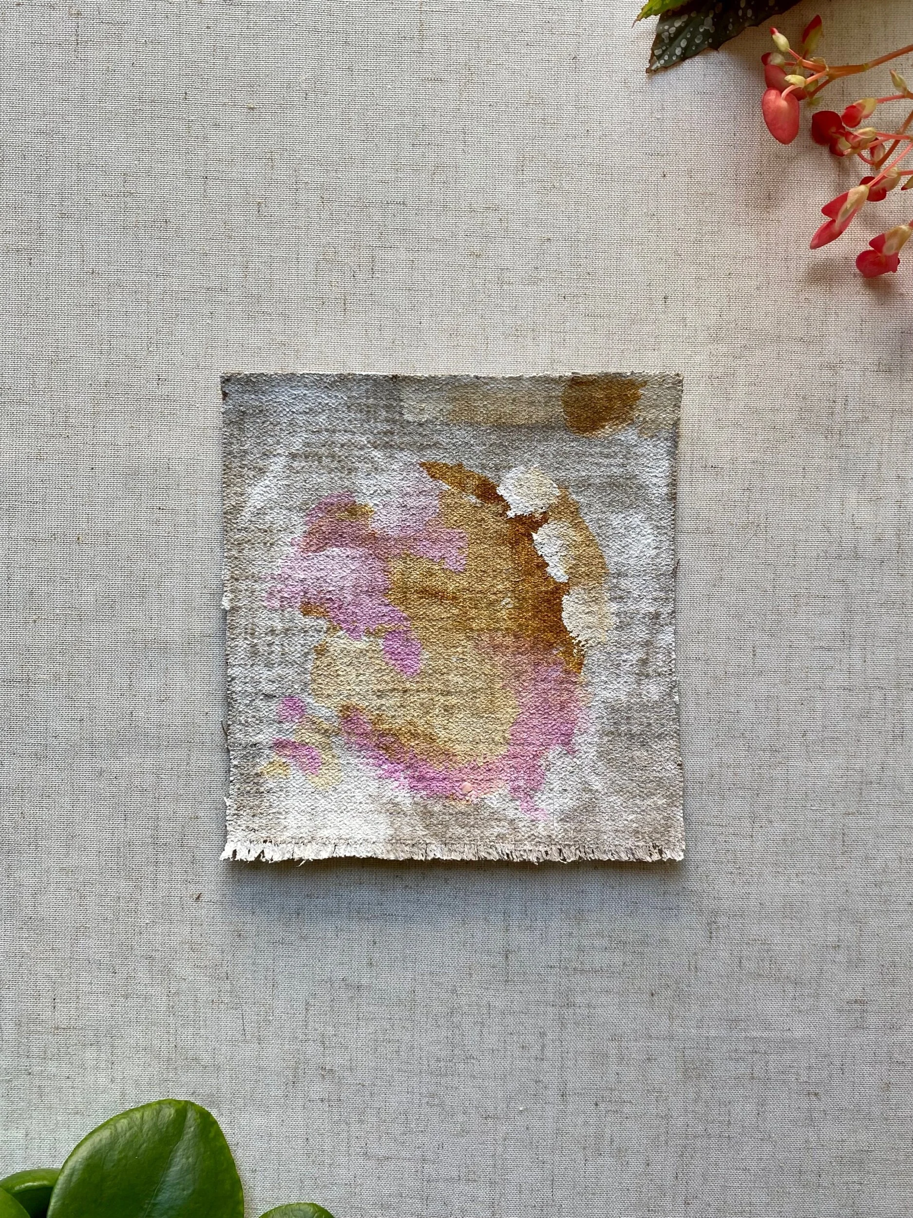 A50F308E-155E-4063-91D4-8F49C1F4F8E4