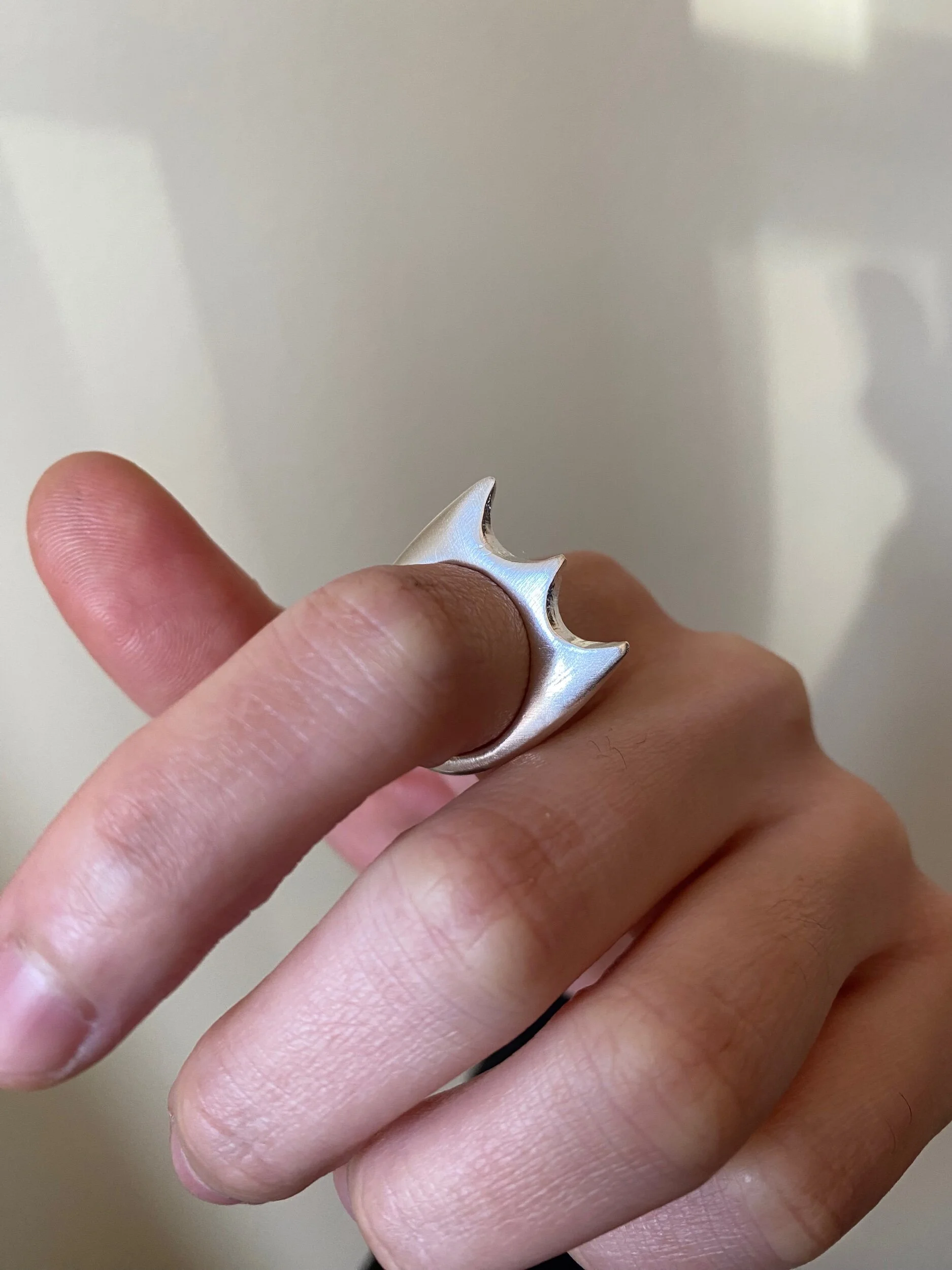 E2FEFFCC-6E20-447D-912D-52AD0D86A69D