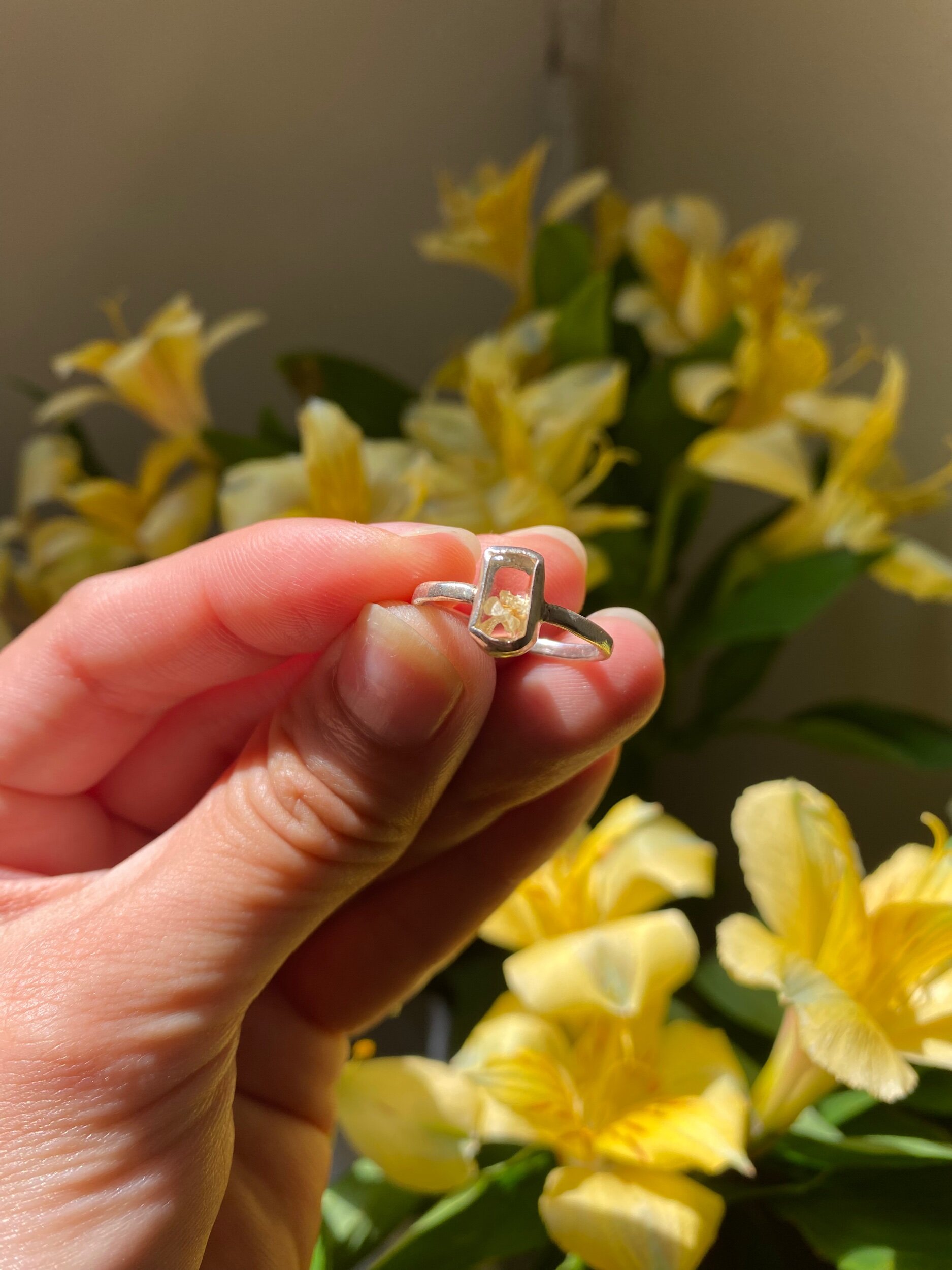 BAB73DC7-3980-450C-93A7-B36EC385A1FC