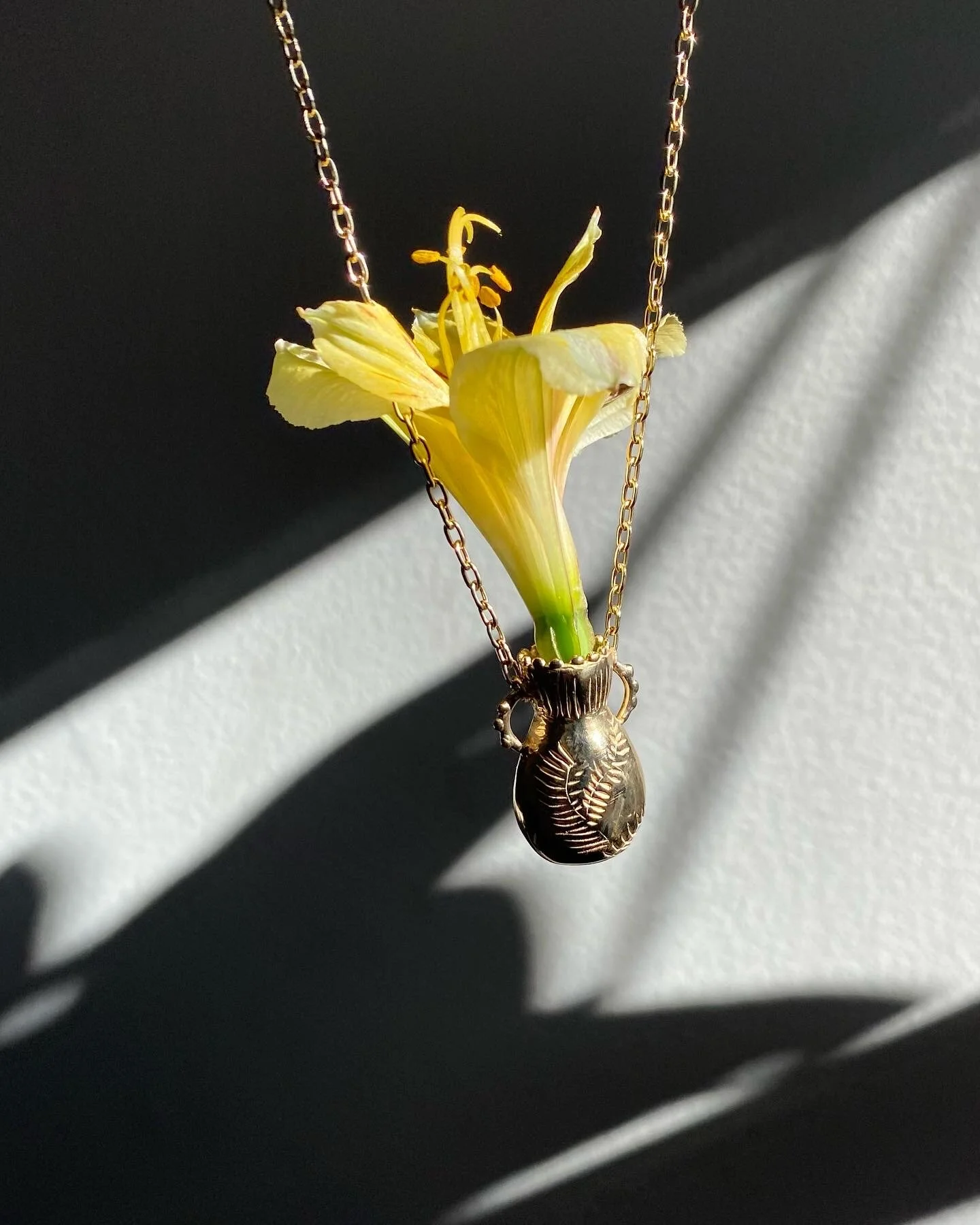 4010DB8C-B125-4F1F-9F58-3C605A9CA1AB