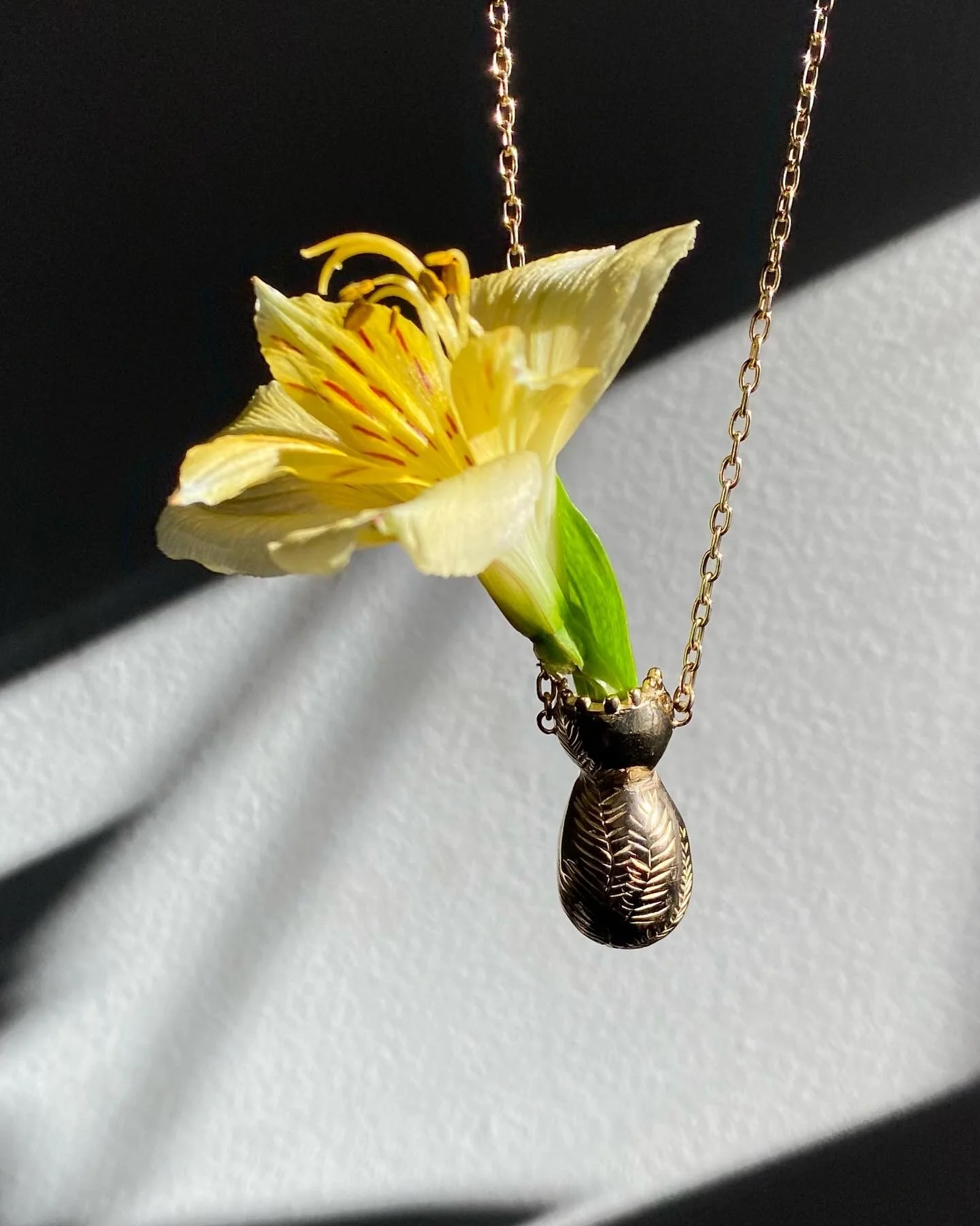 BB3AB7FB-F6FC-42E9-9AF6-024D70C0DF20