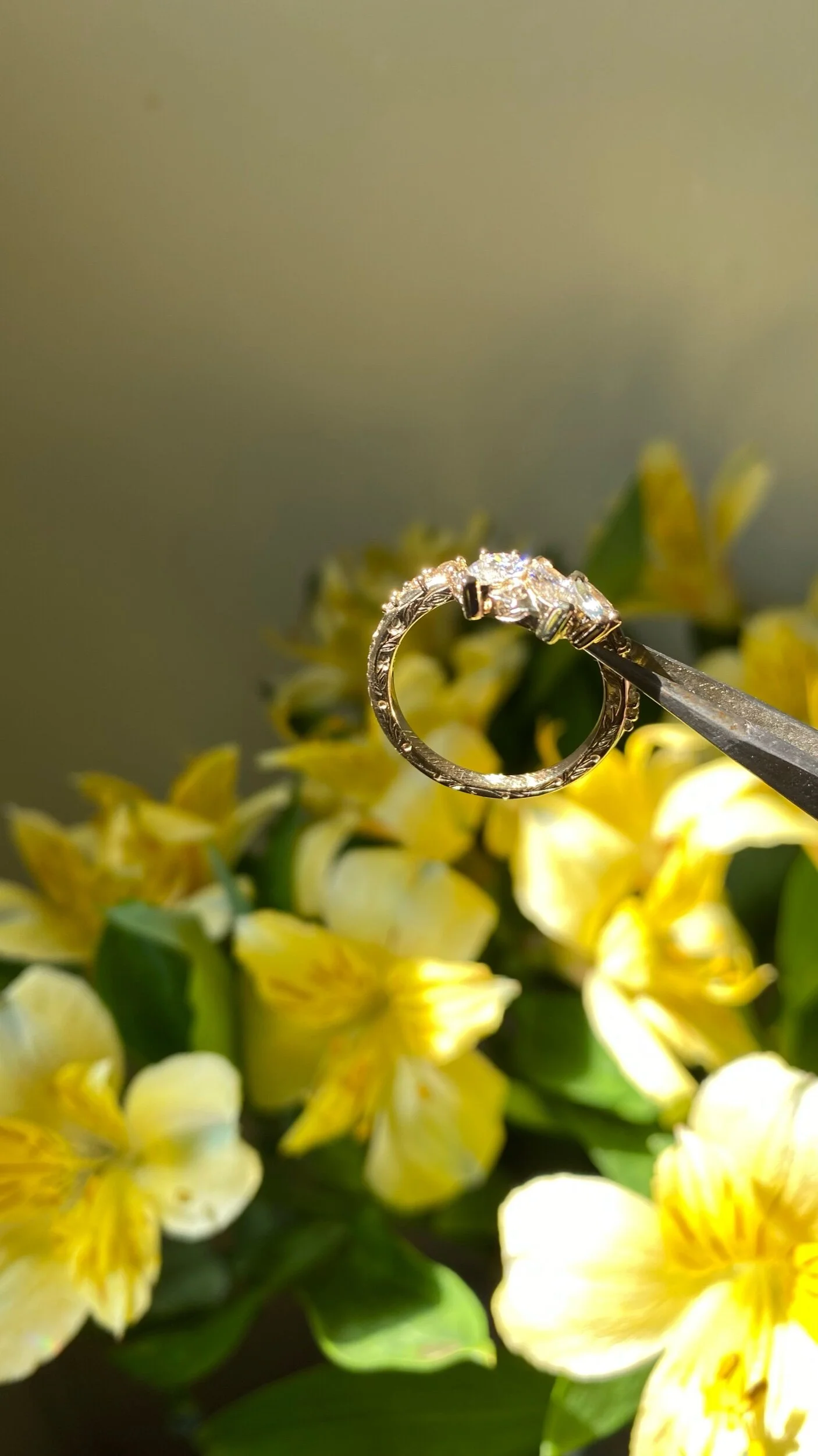 6A7ECC6A-FAEB-490A-954C-F4000D3A8CCB