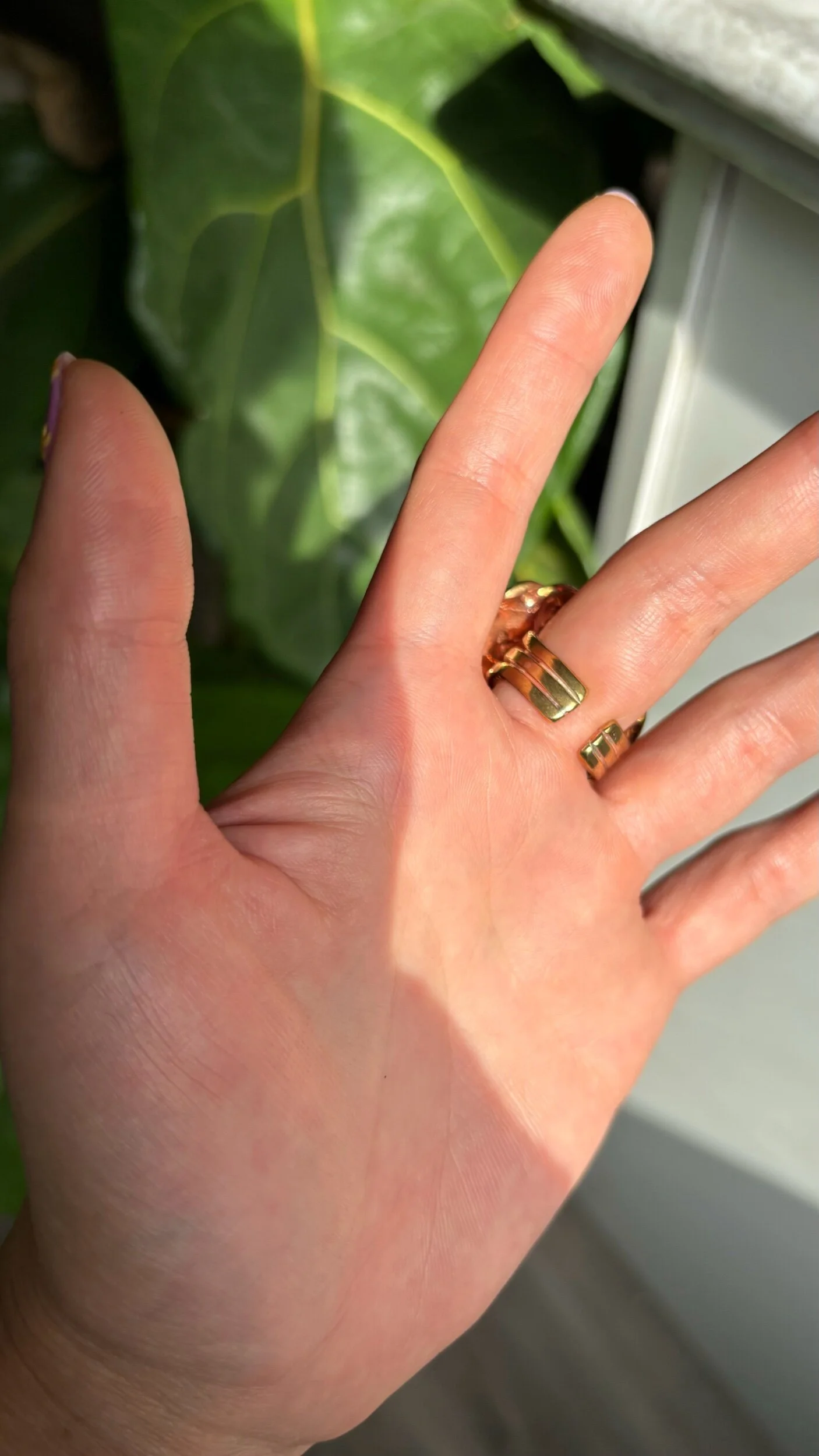 B541C446-7FA9-48FF-AB7E-4AF16EB8D380