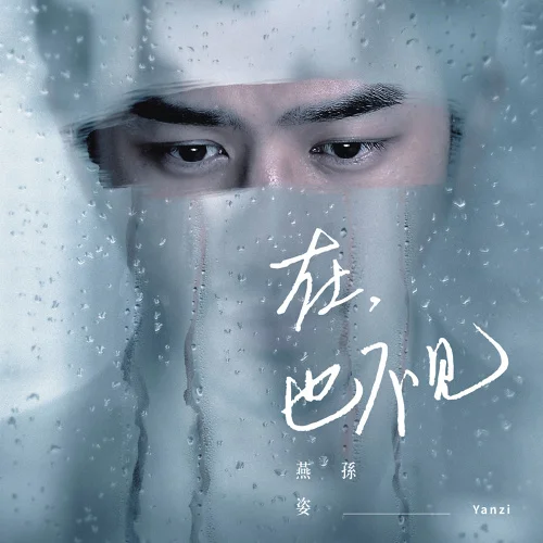 2016 孫燕姿 - 在也不見.jpg