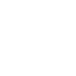 e-commerce-icon.png