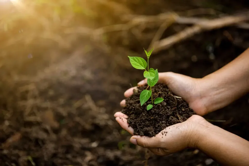 Private environmental science tutoring for IGCSE, A-Level, IB and AP students in Bahrain with TeachBahrain
