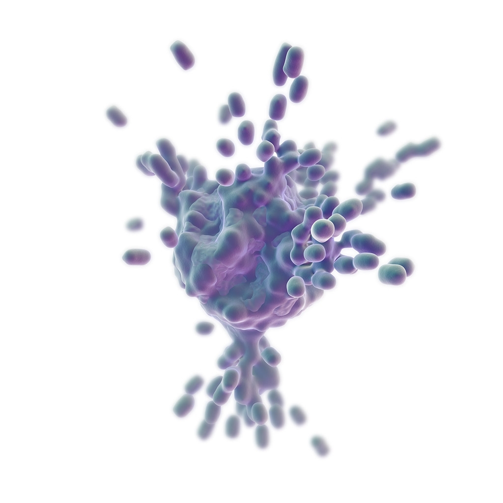 Apoptosis lenticular magazine cover