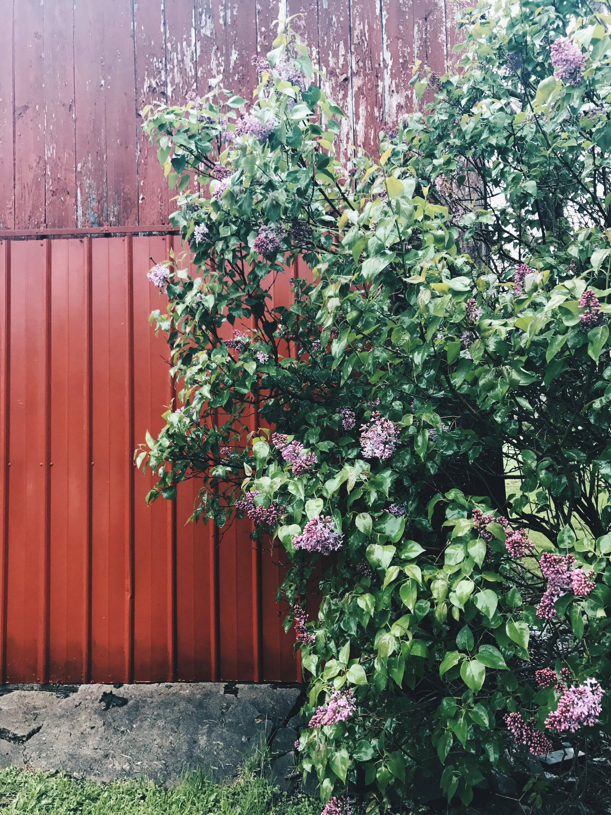 Then and Now: Pruned