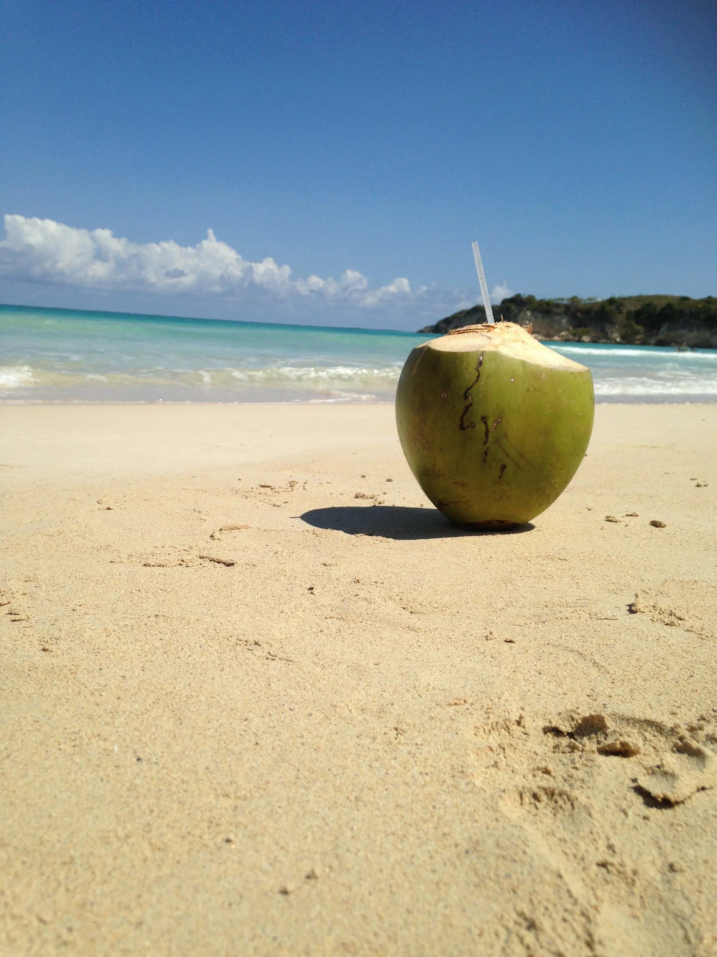 mmm....coconuts!