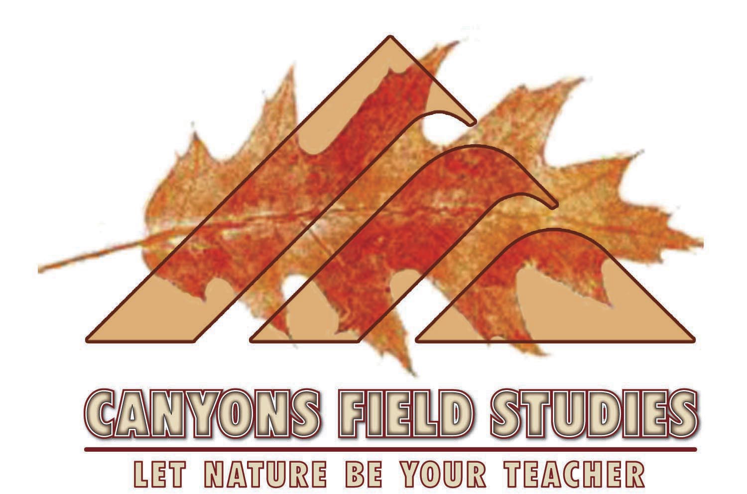 Canyons Field Studies.jpg
