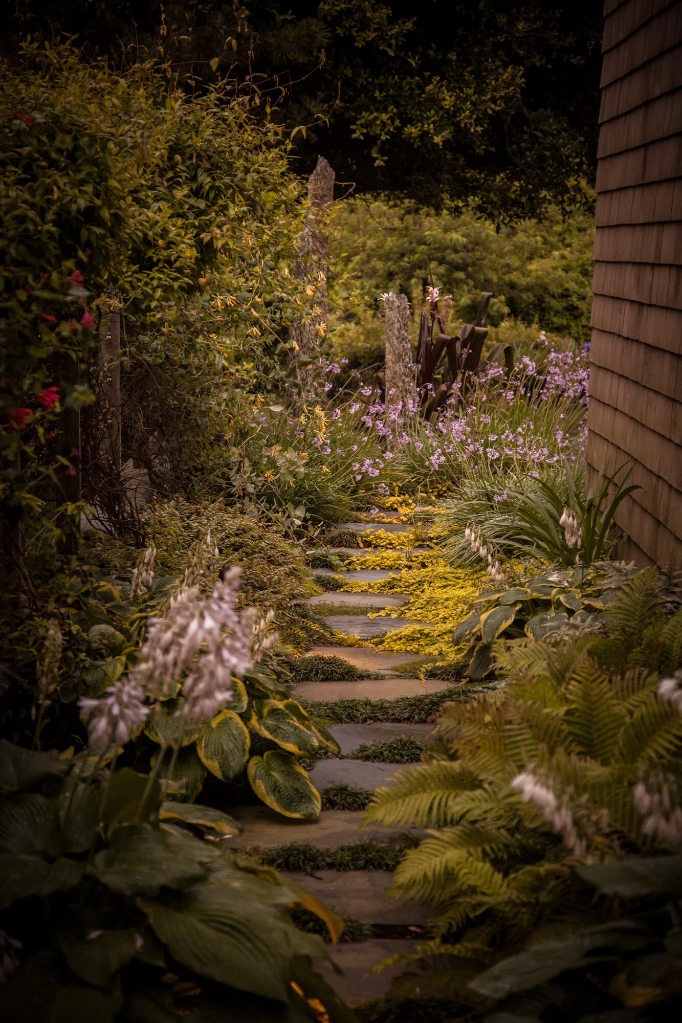 Lusher_120619_0043.jpg