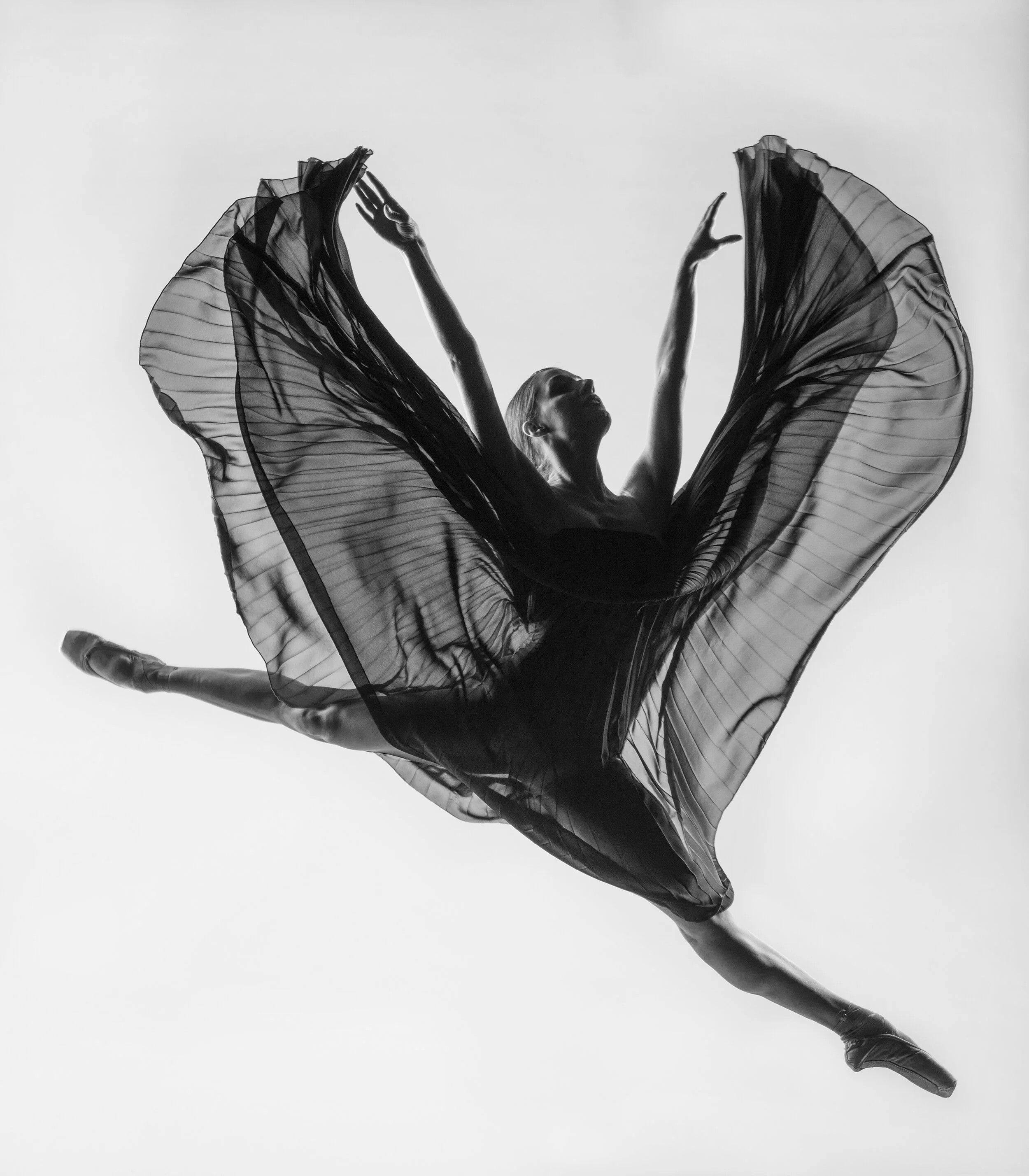 AB4272.1.jpg
