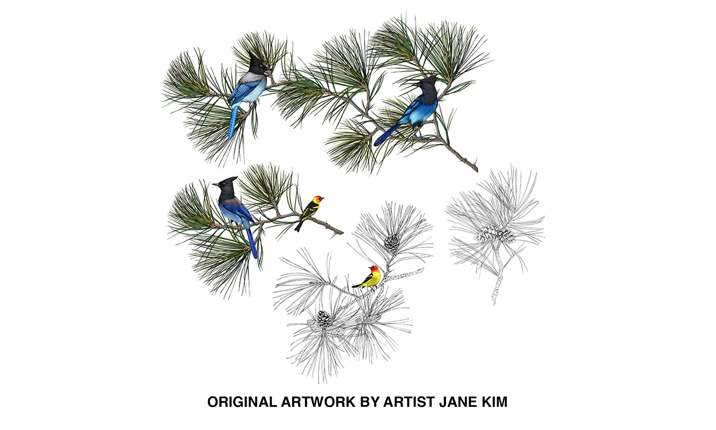 birdingfloral_wip.jpg