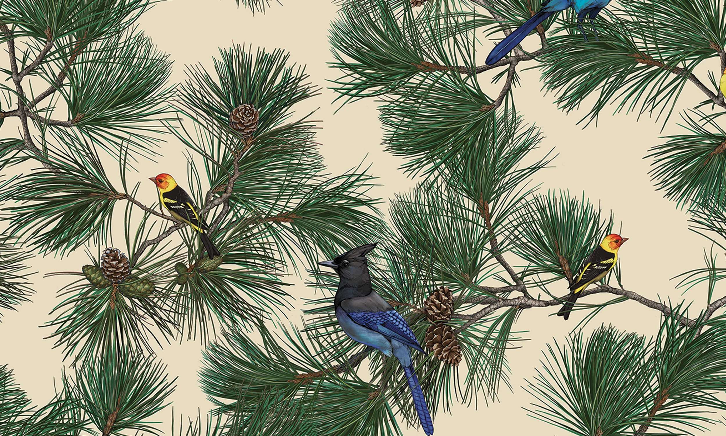 birdingfloral.jpg