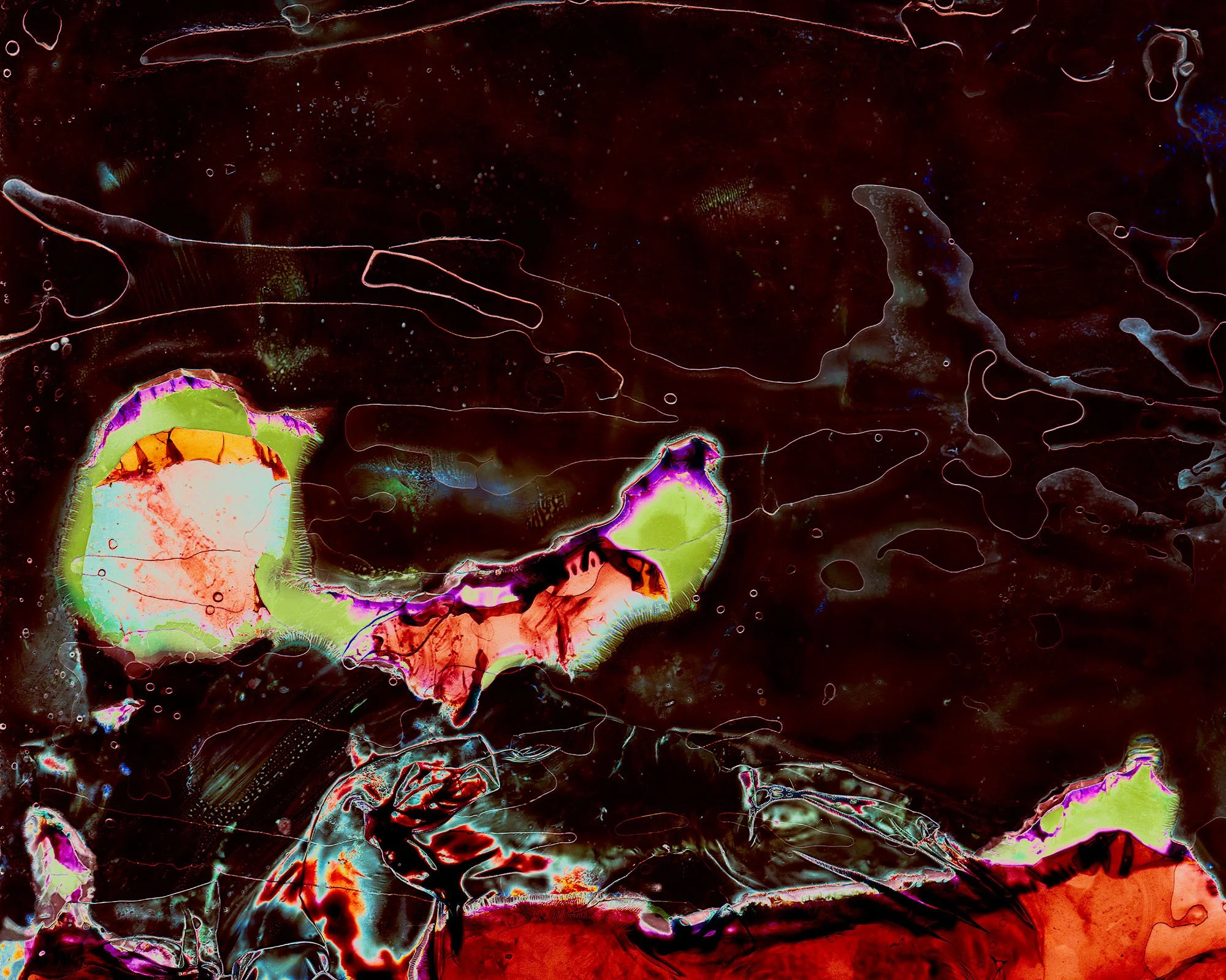 Sonogram #2