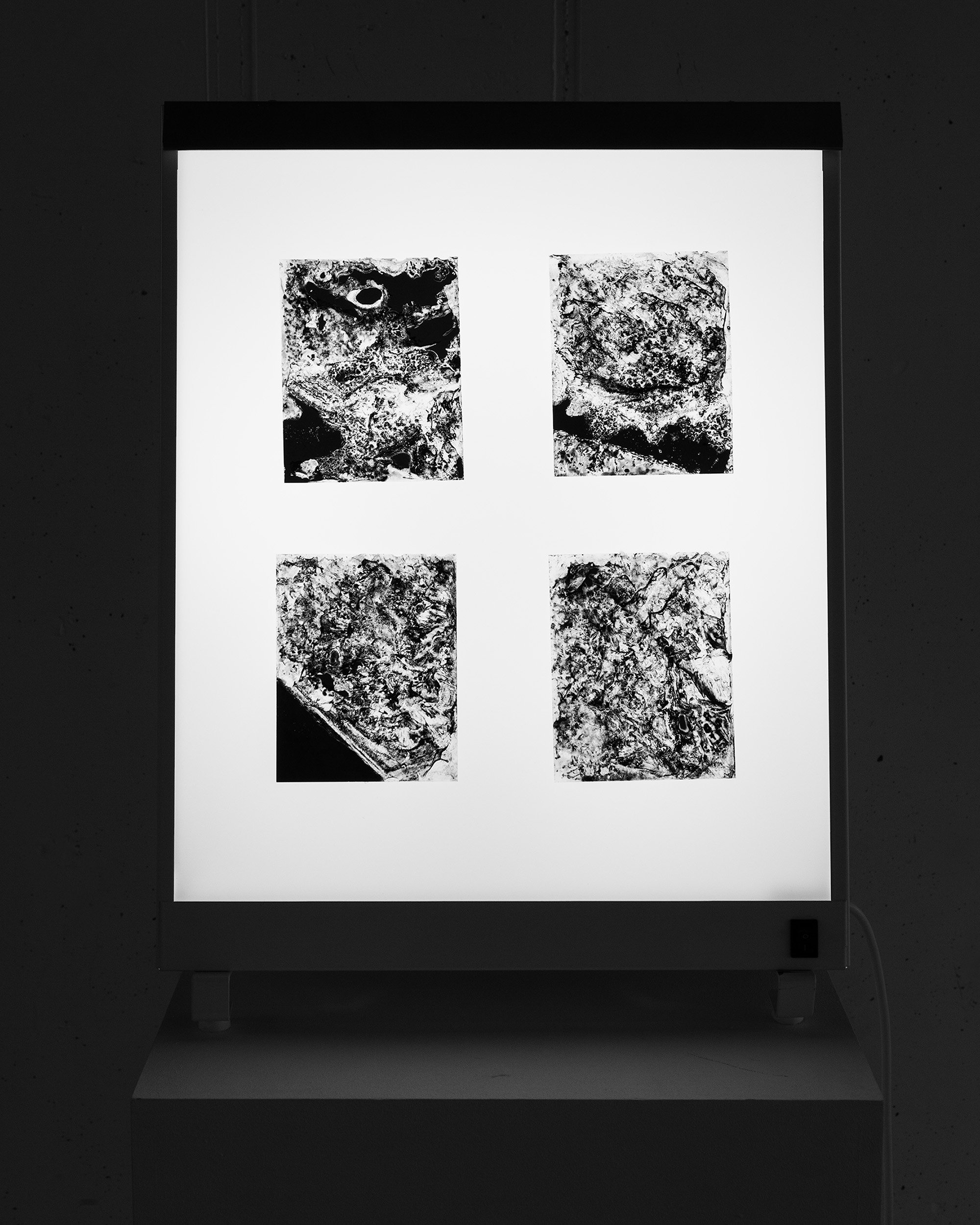 Negatives on X-Ray Box