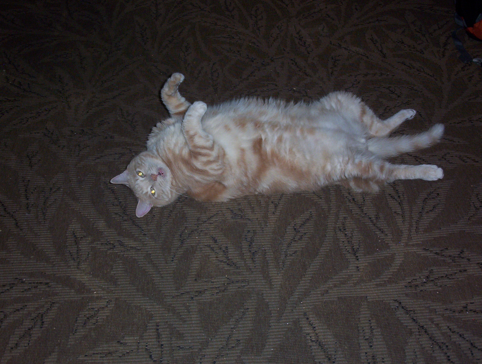 100_0506.jpg
